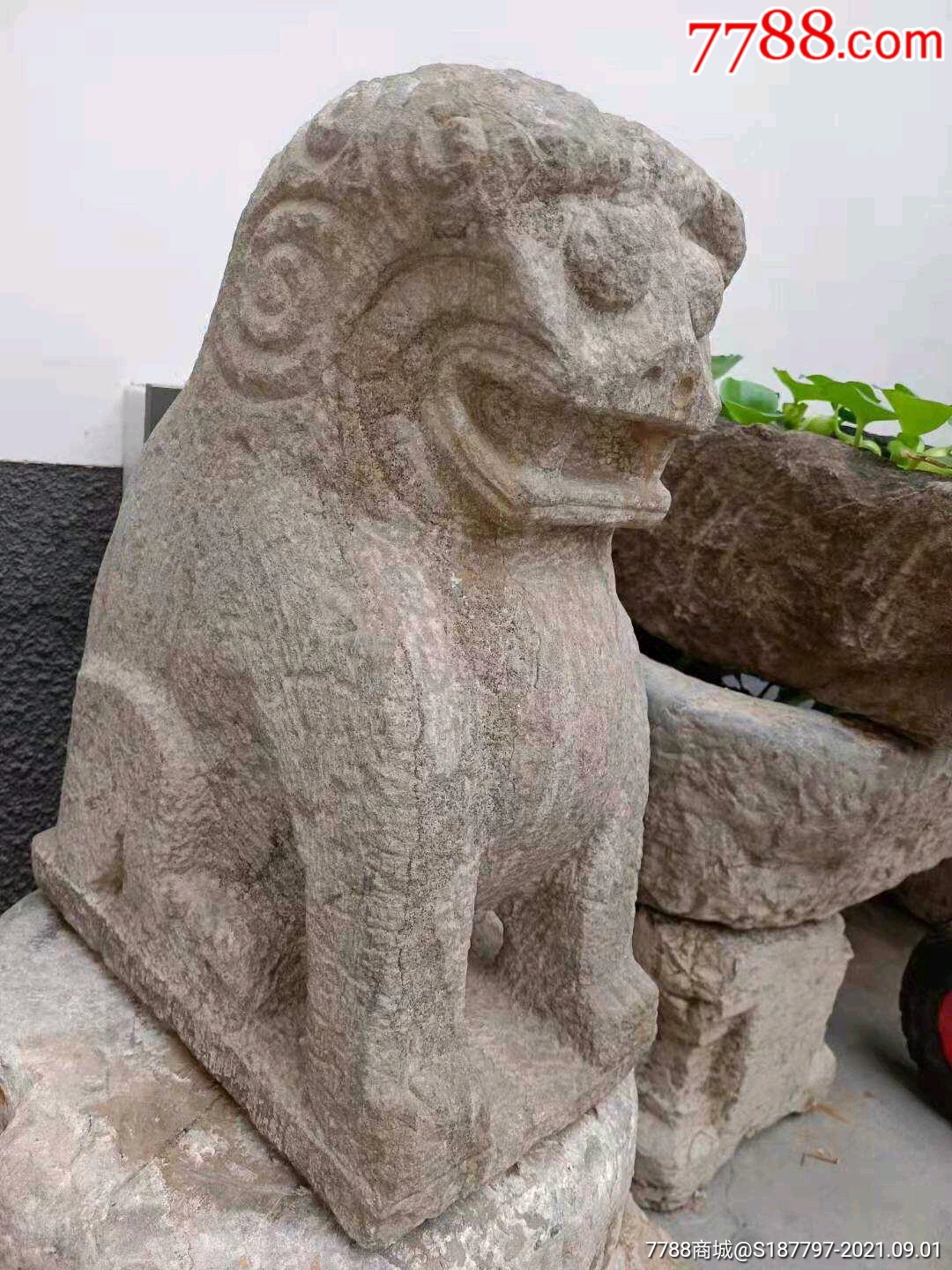 清代石狮子