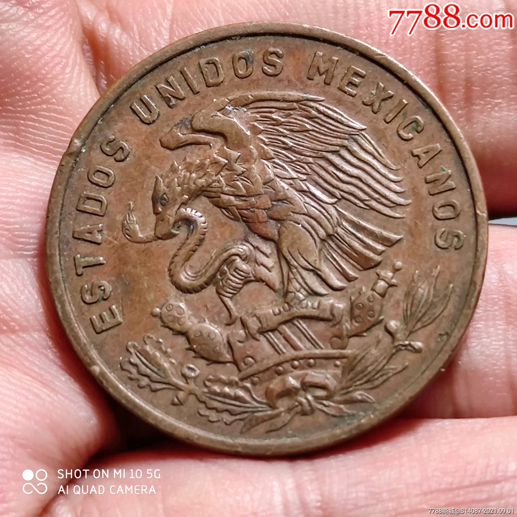 小外币墨西哥铜币1969
