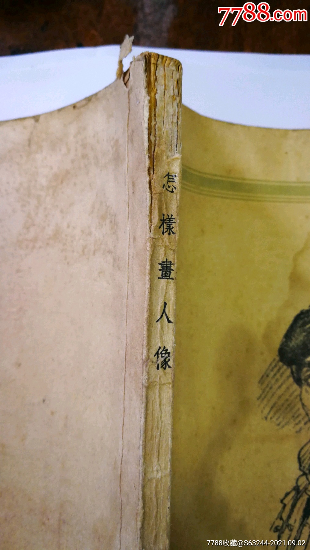 著名画家哈定:《怎样画人像》(1955年)