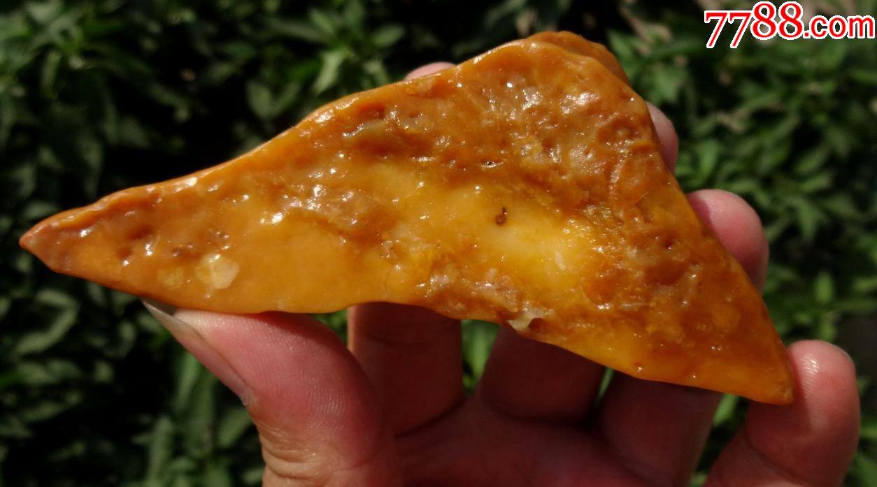 新疆金丝玉鸡油黄沙漠漆原石8