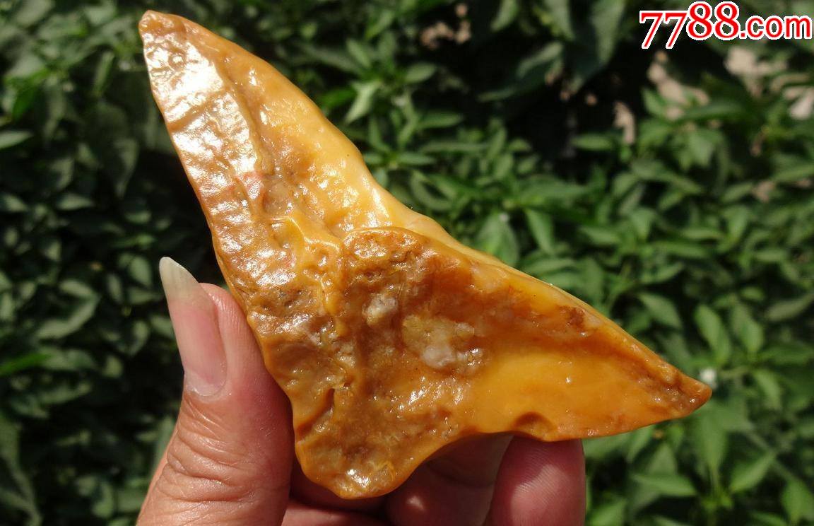 新疆金丝玉鸡油黄沙漠漆原石8