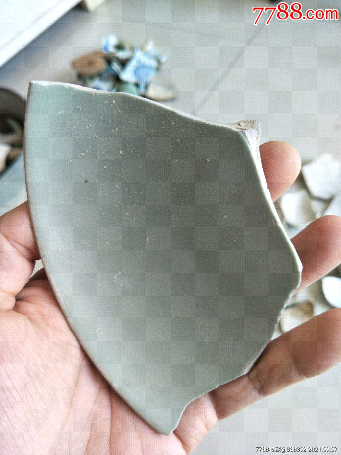 宋代汝窑或者东沟青瓷瓷片残片临清运河古玩店万枚古陶瓷标本馆