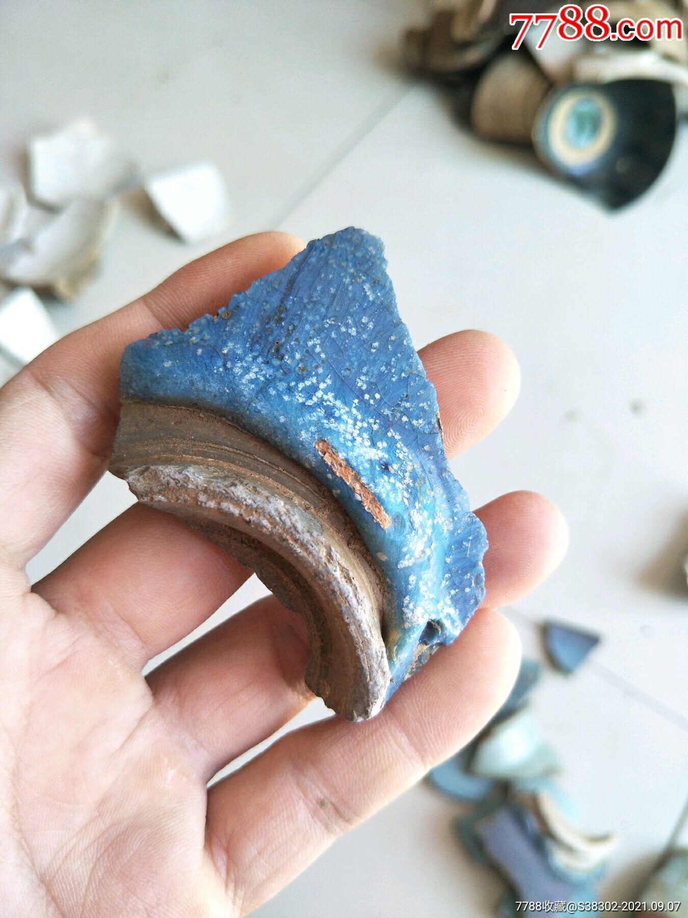 宋元家有万贯不如钧瓷一片瓷片残片临清运河古玩店万枚古陶瓷标本馆