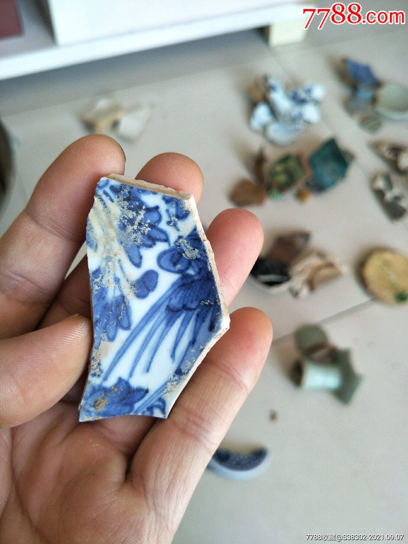 清代康熙青花瓷片残片临清运河古玩店万枚古陶瓷标本馆