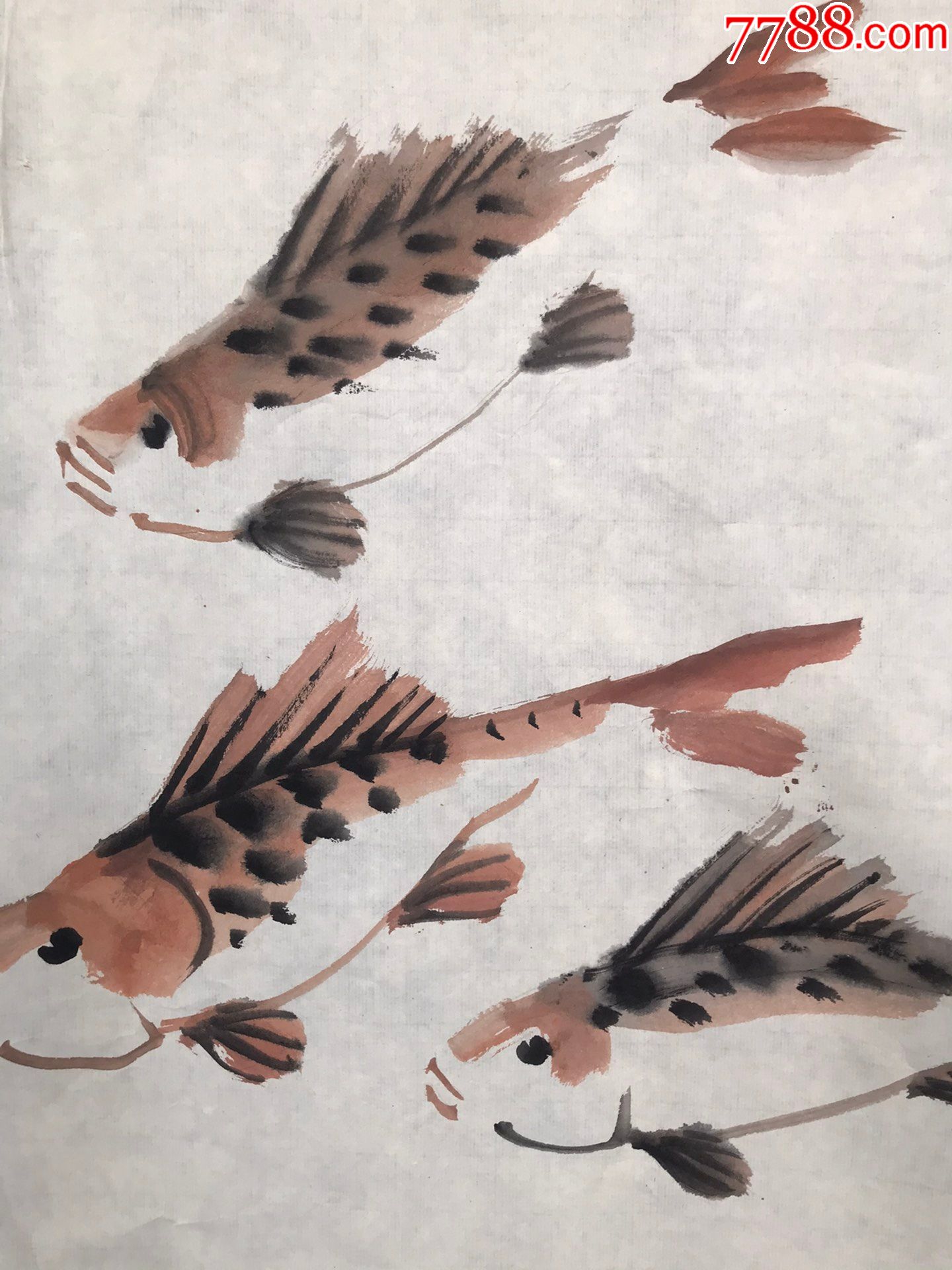 韩不言鱼镜片a88s15f-价格:3600元-se82477050-花鸟国画原作-零售