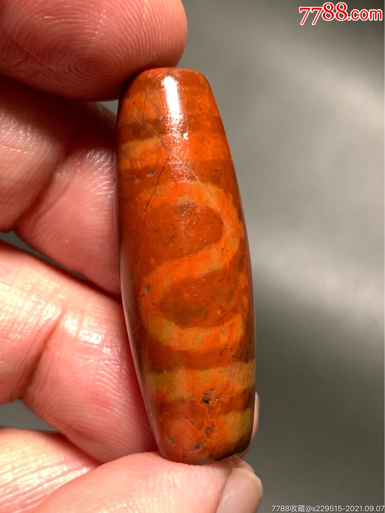 藏传带朱砂金钱勾朱红色象雄天珠37.5*13毫米