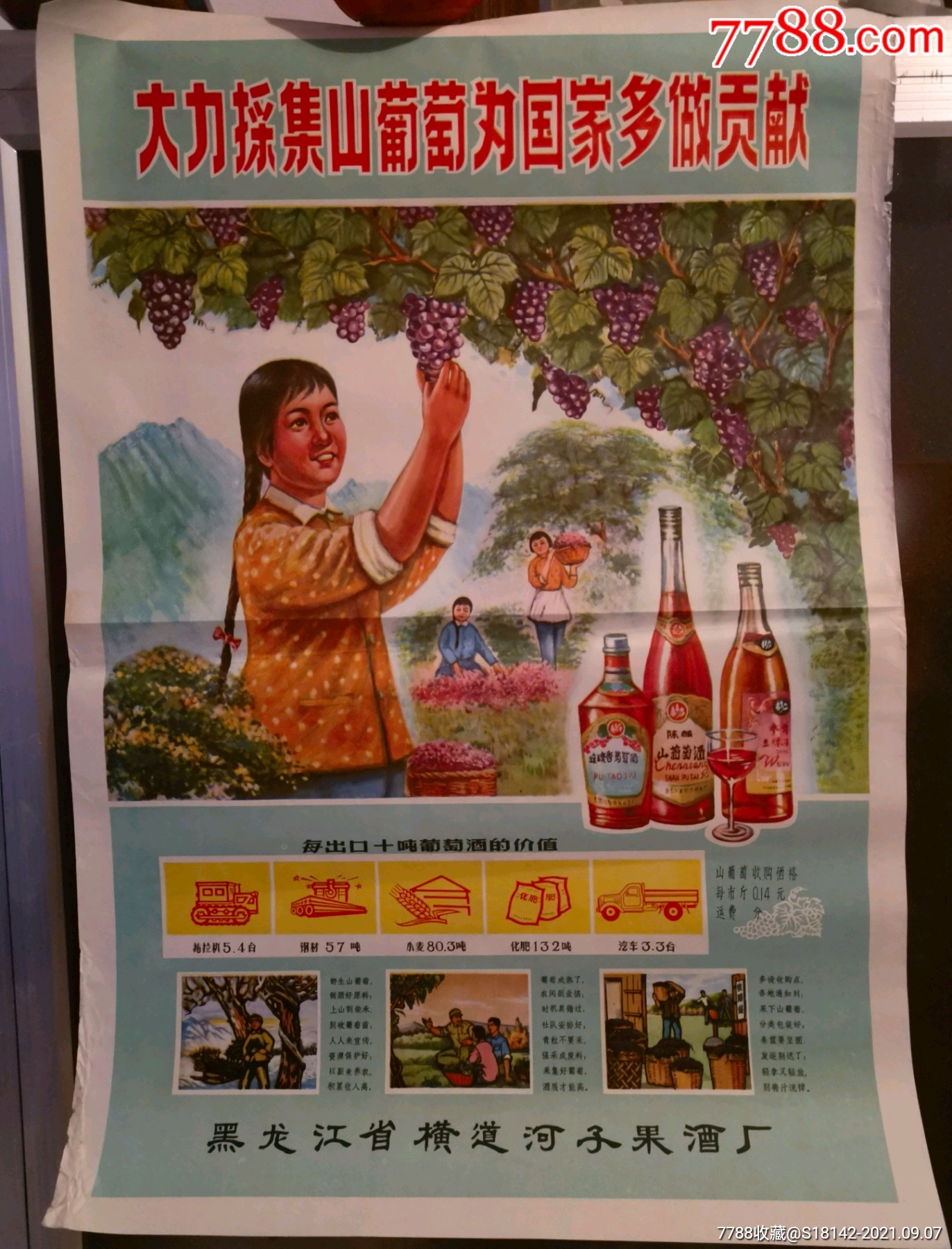 早期黑龙江横道河子葡萄酒广告宣传画