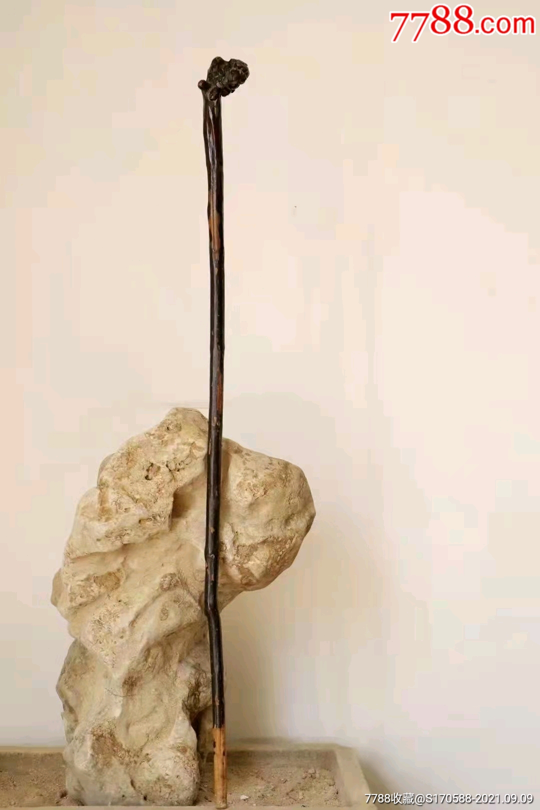 清代六道木降龙木拐杖梅花朵朵大漆高99厘米包老