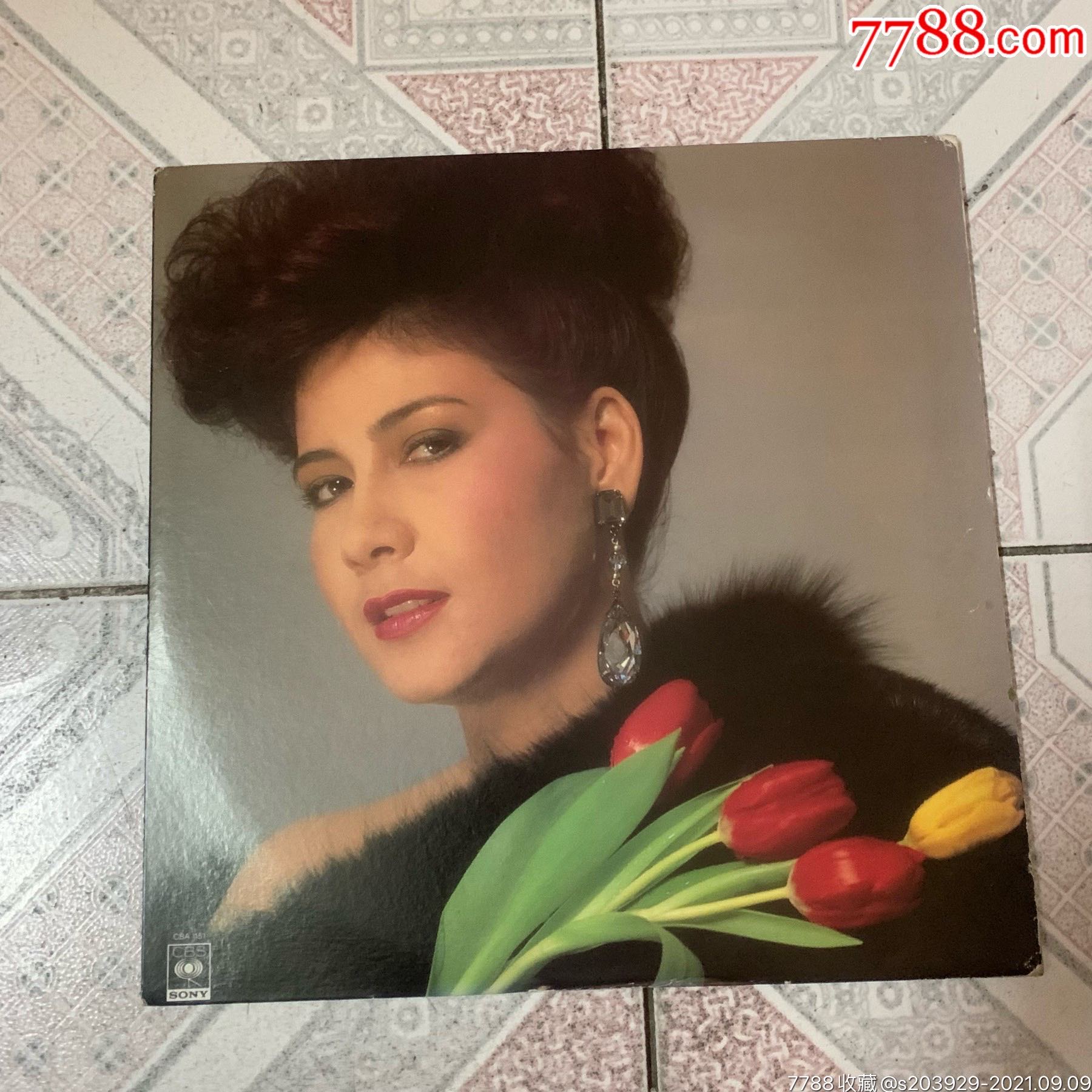 黑胶lp甄妮为你而歌附海报