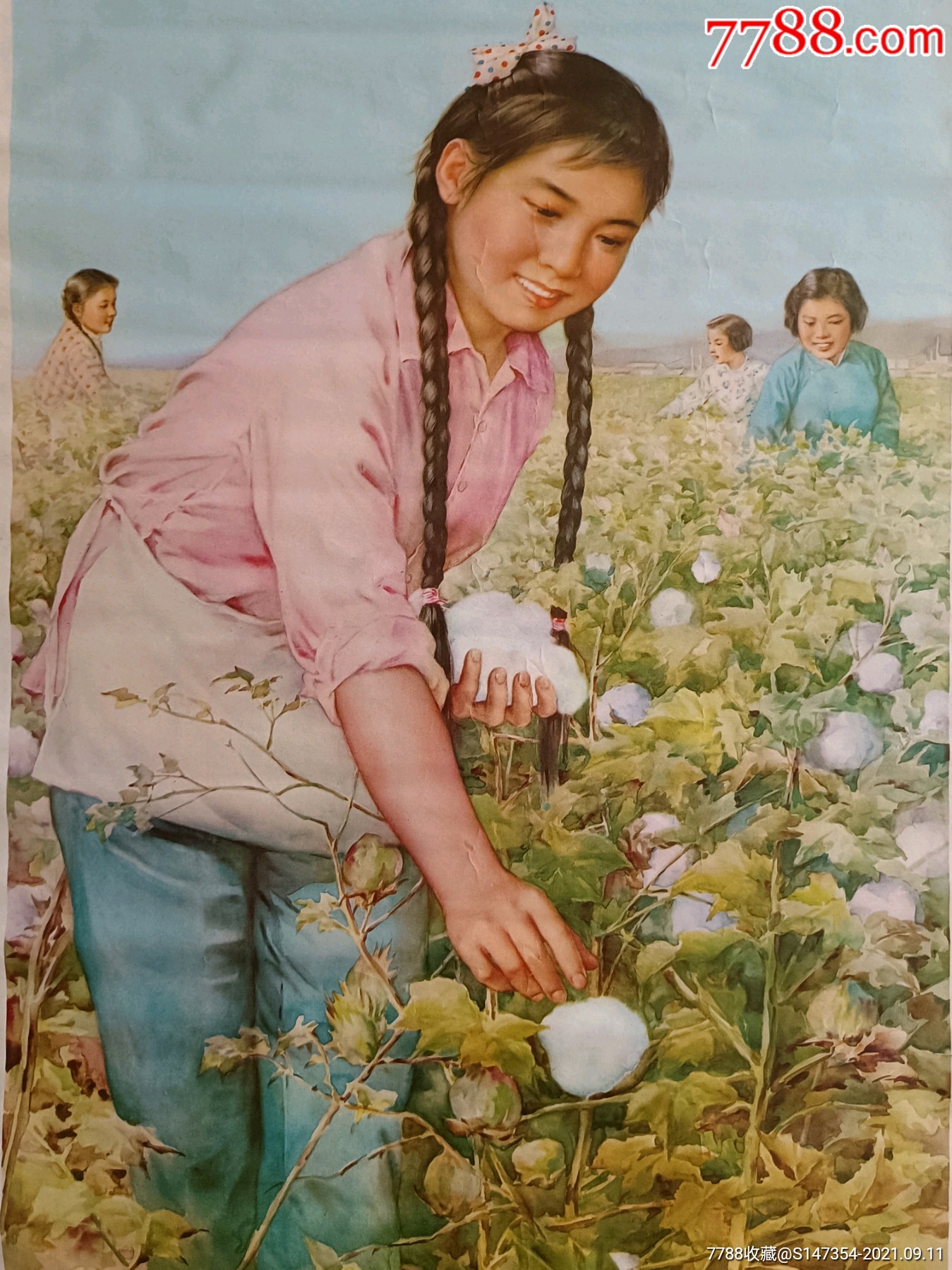 棉花丰收_价格870元【新疆收藏东东小店】_第1张_7788商城__七七八八