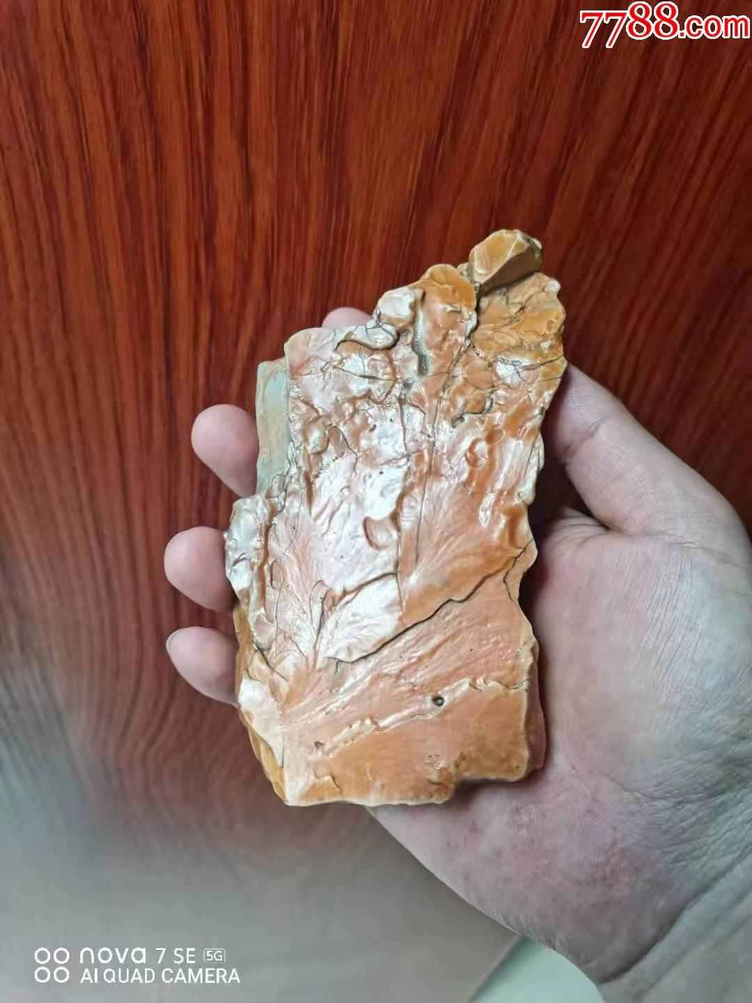 沙漠漆奇石-价格:359元-se82566614-风砺石/戈壁石-零售-7788收藏