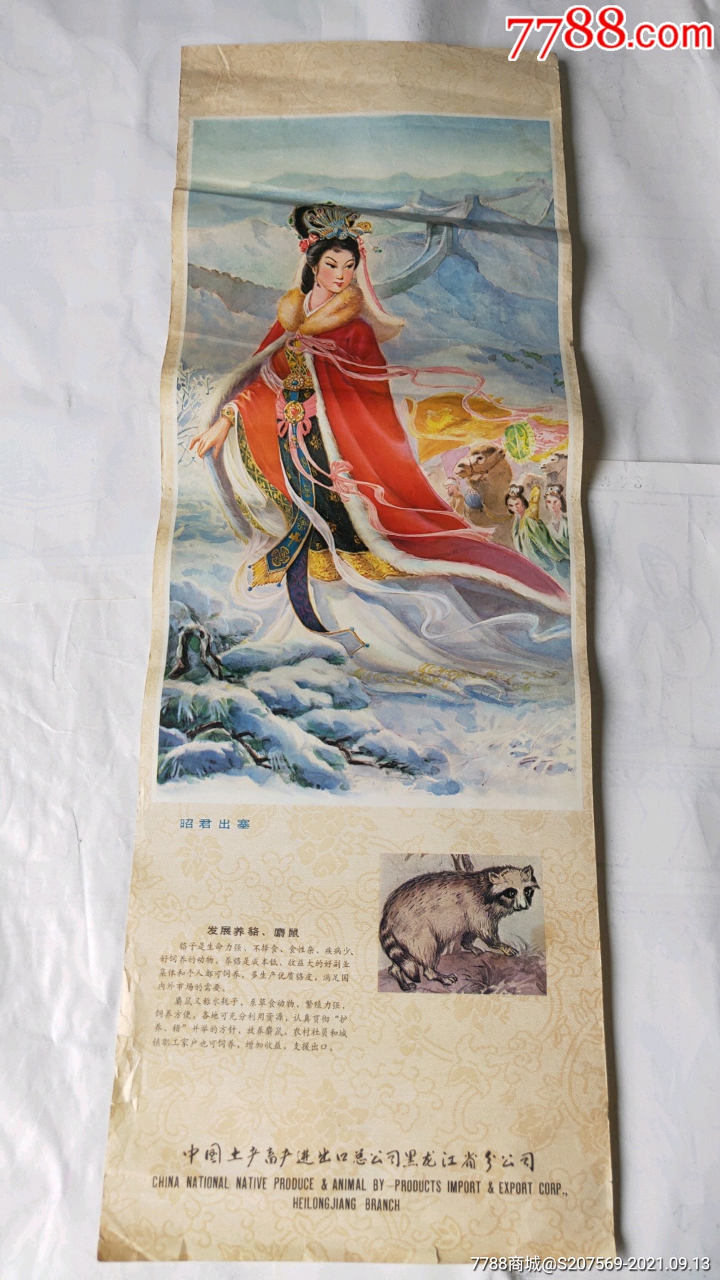 昭君出塞发展养貉麝鼠