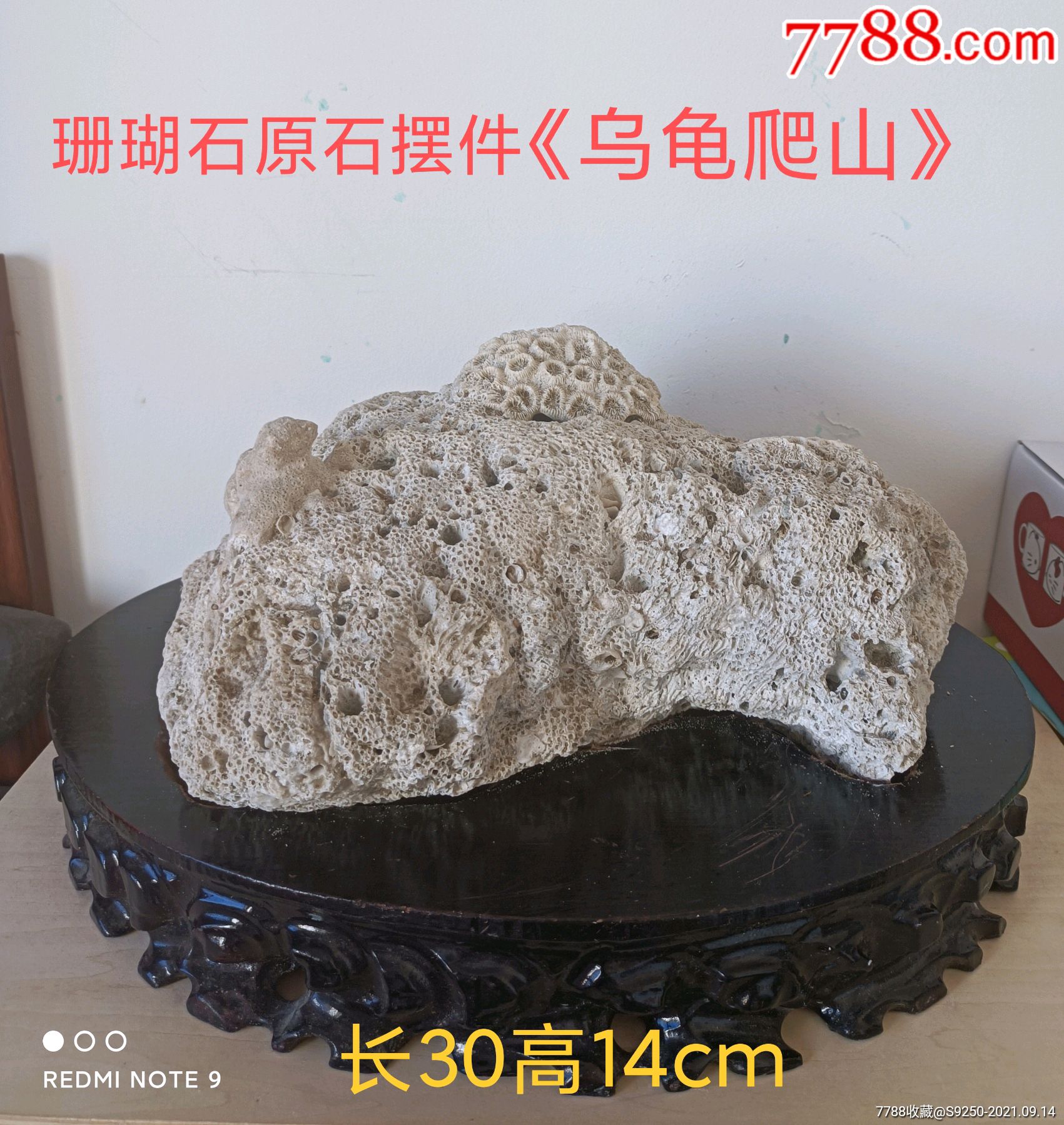 纯天然珊瑚石原石摆件乌龟爬山