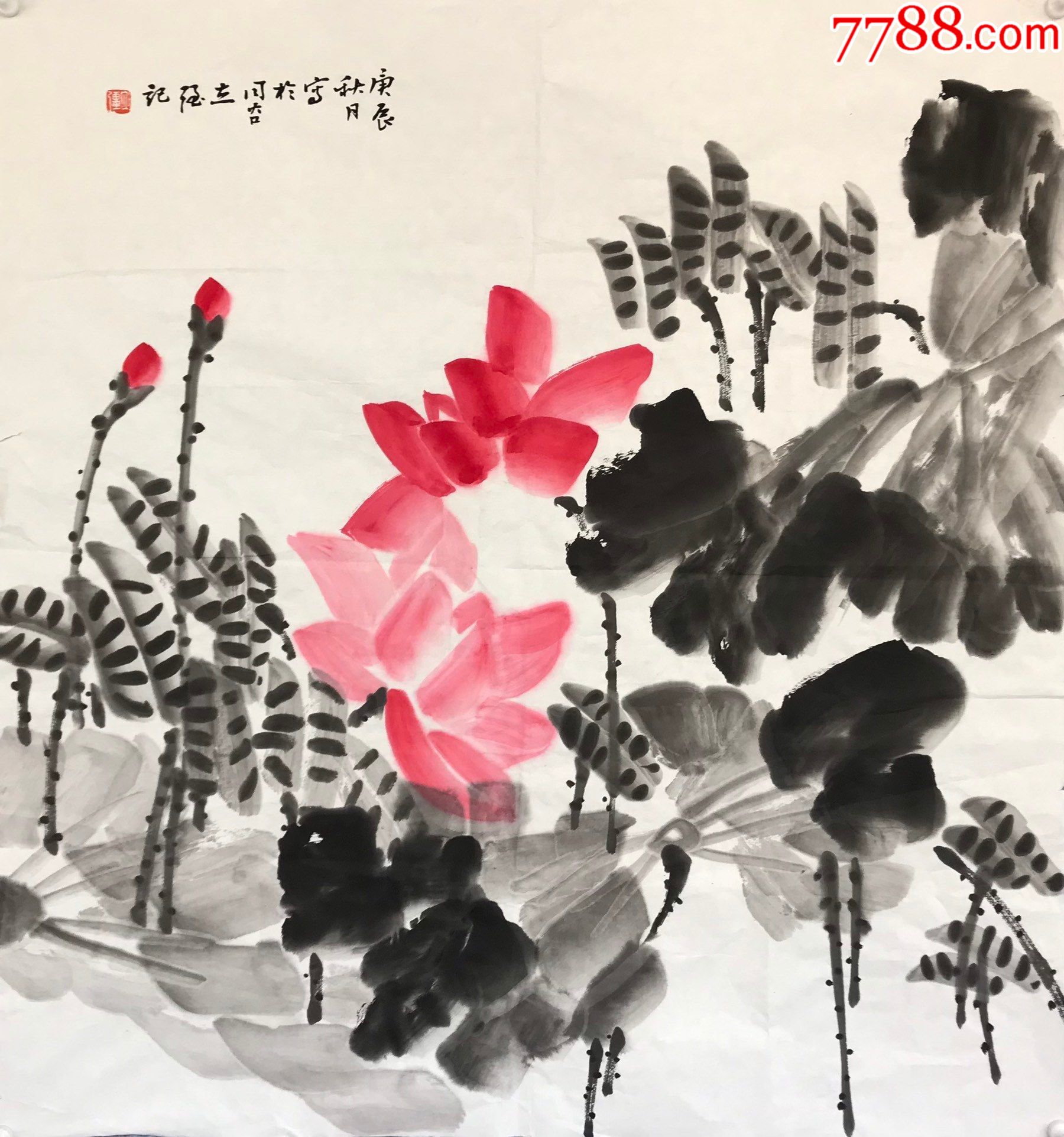 杨立强花卉镜片a88s12f