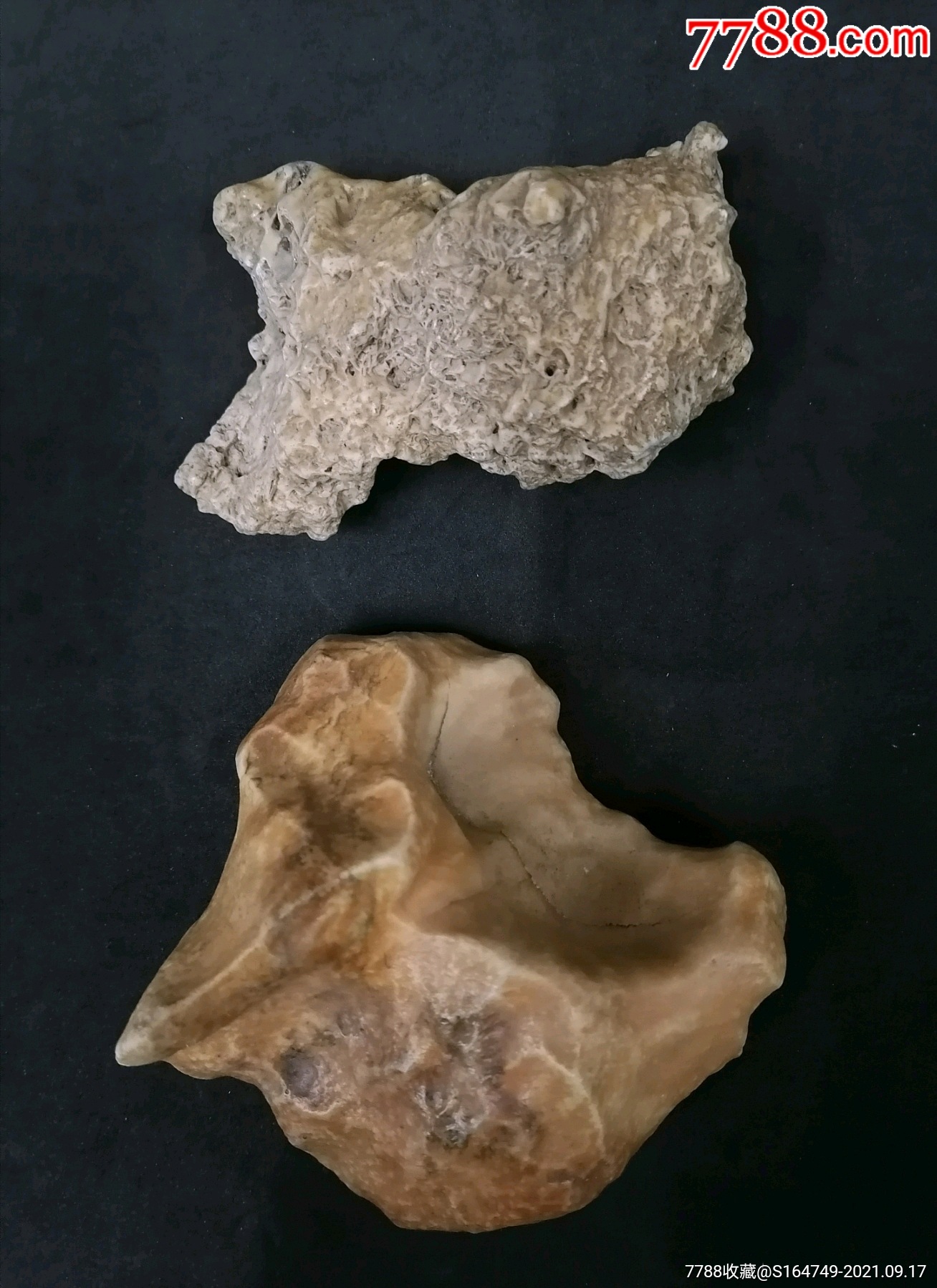 戈壁滩奇石一对