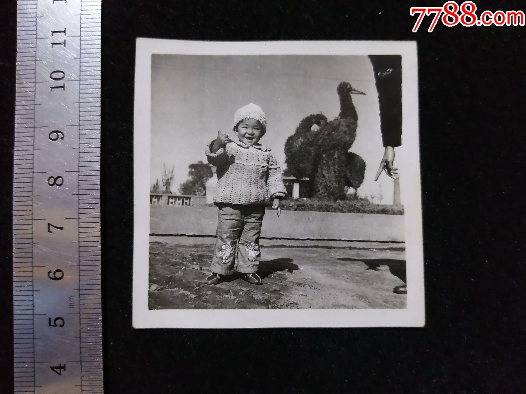 店内编号:1002 品种: 老照片-老照片 属性: 个人照片,年代不详