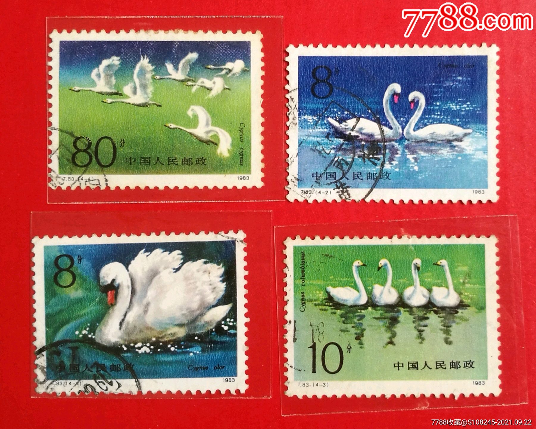 t83天鹅-价格:23元-se83056380-新中国邮票-零售-7788收藏__收藏热线
