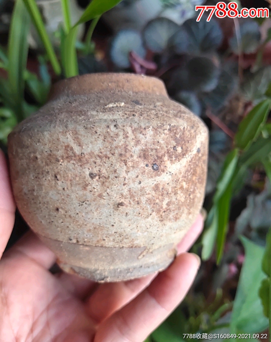 宋代洪塘窑茶入