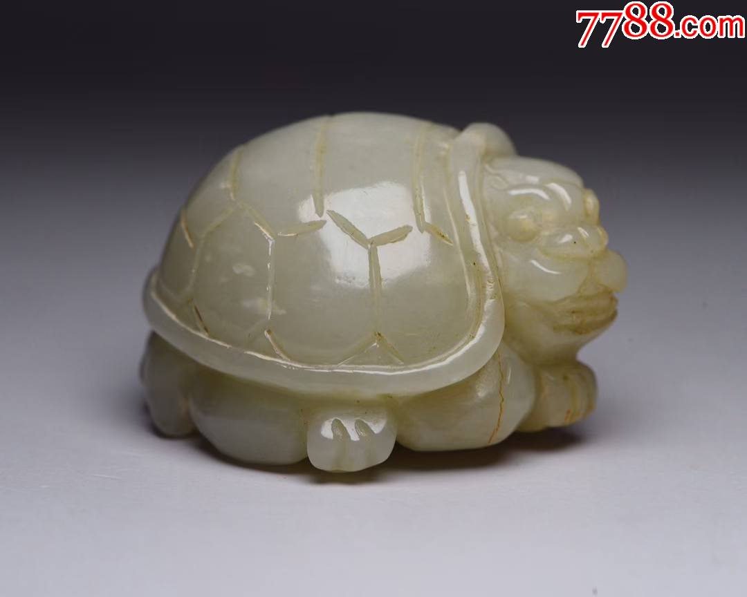 长寿龟5.3x4.7x3.4,122克