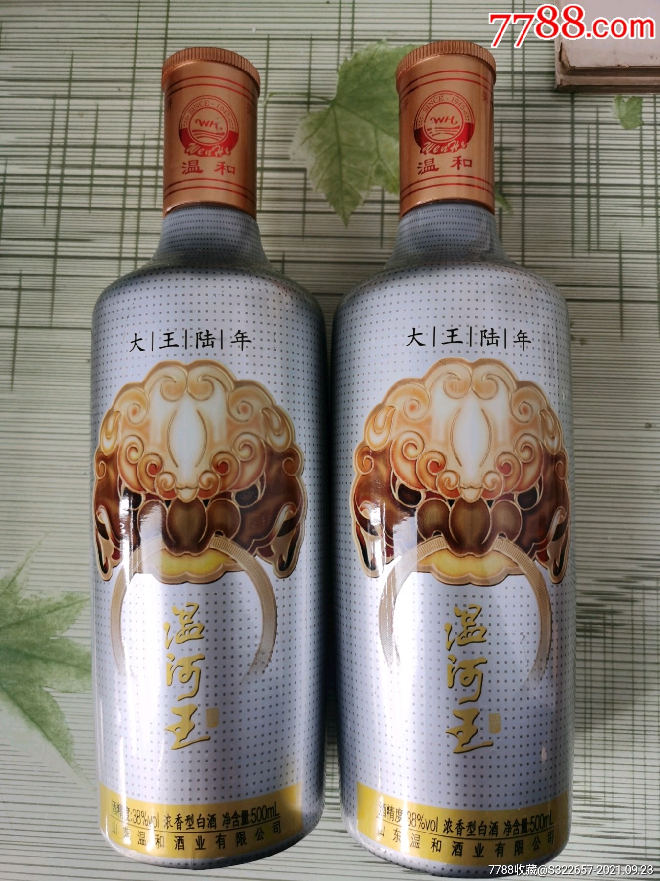 《温河王》白酒酒瓶