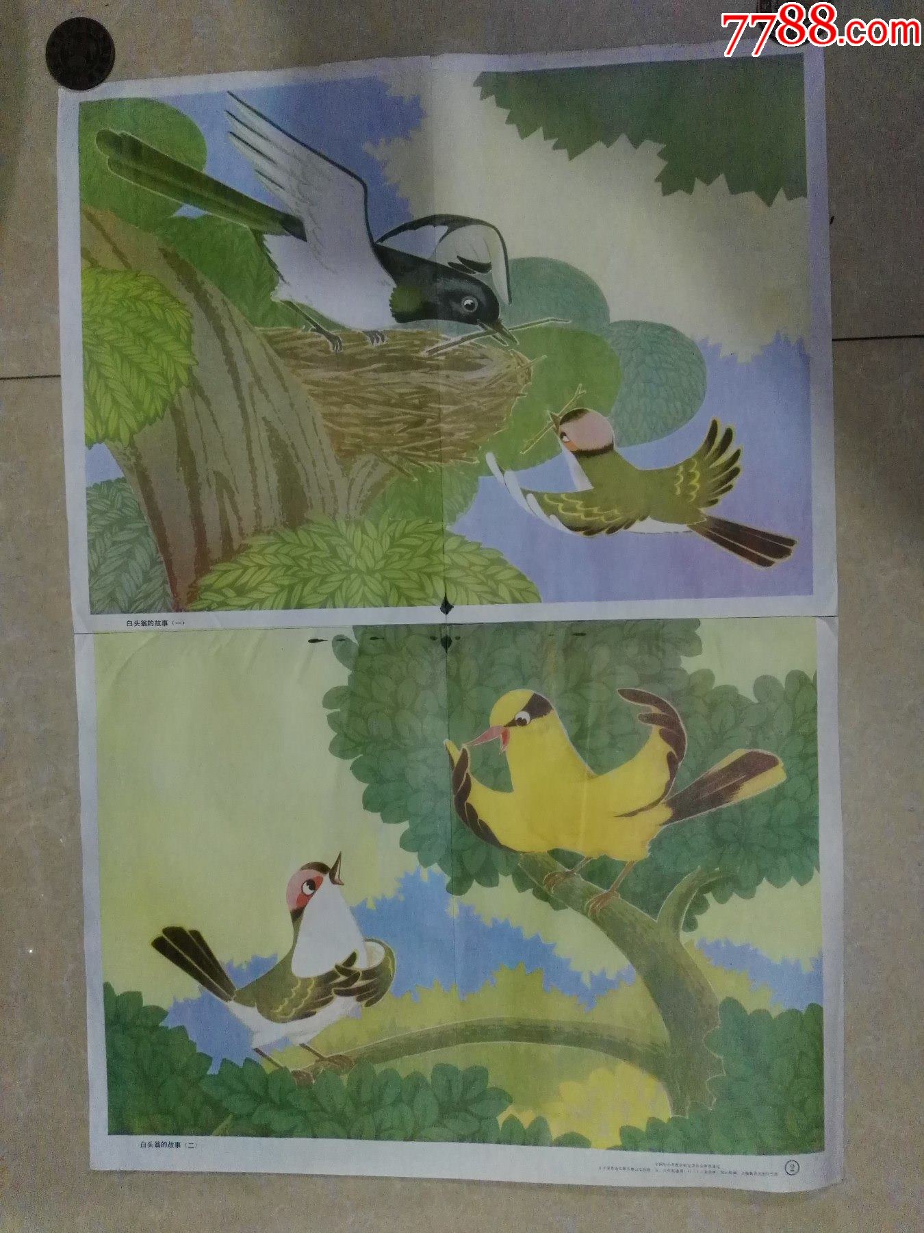 金雪林,吴云初画-白头翁的故事(一,二)