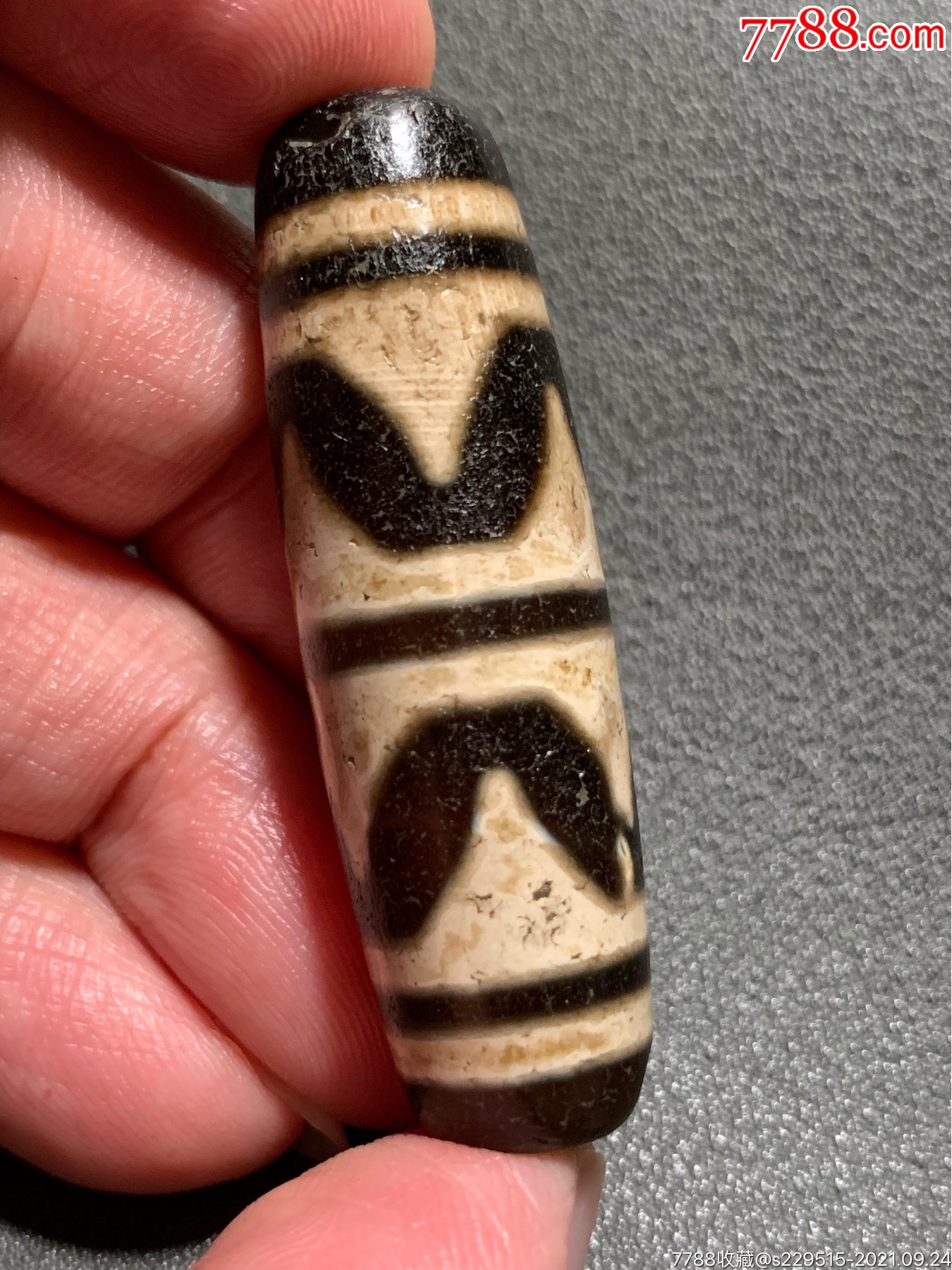 藏传双虎牙大天珠482142毫米