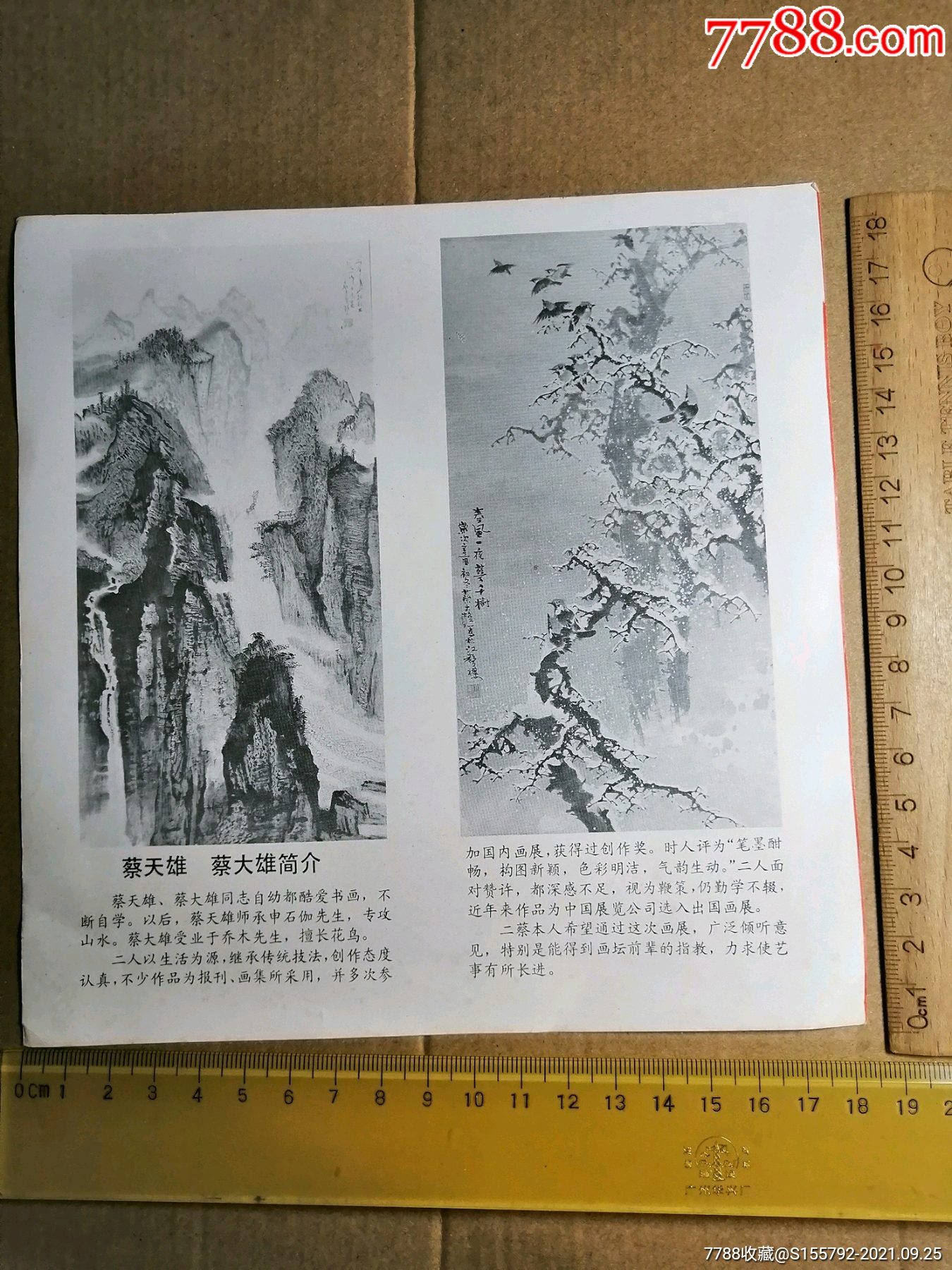 蔡天雄中国画展简介.上海友谊商店