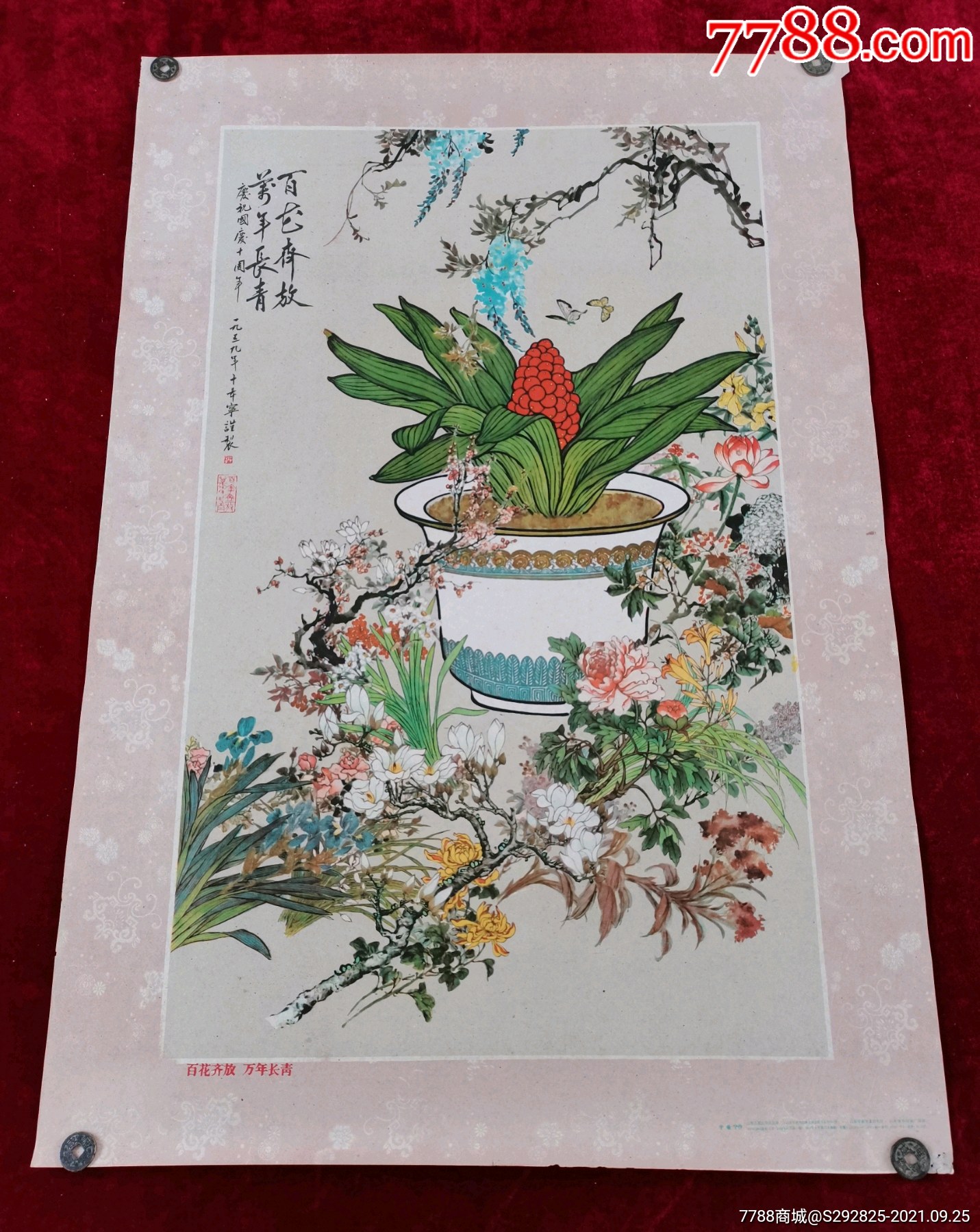 百花齐放万年长青