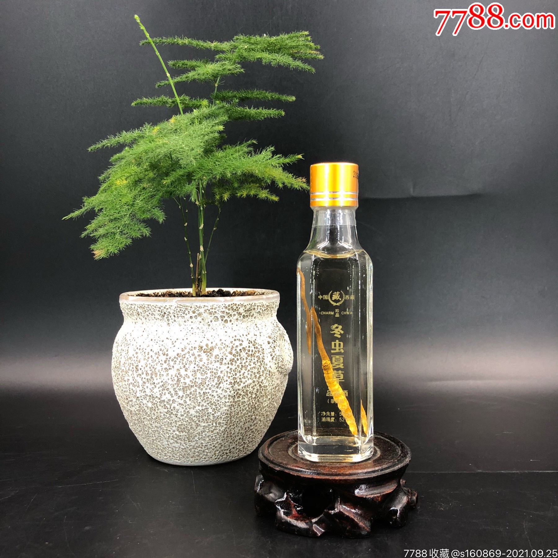 包邮冬虫夏草酒50ml/度数52度2016年(内含虫草一根)小酒版收藏