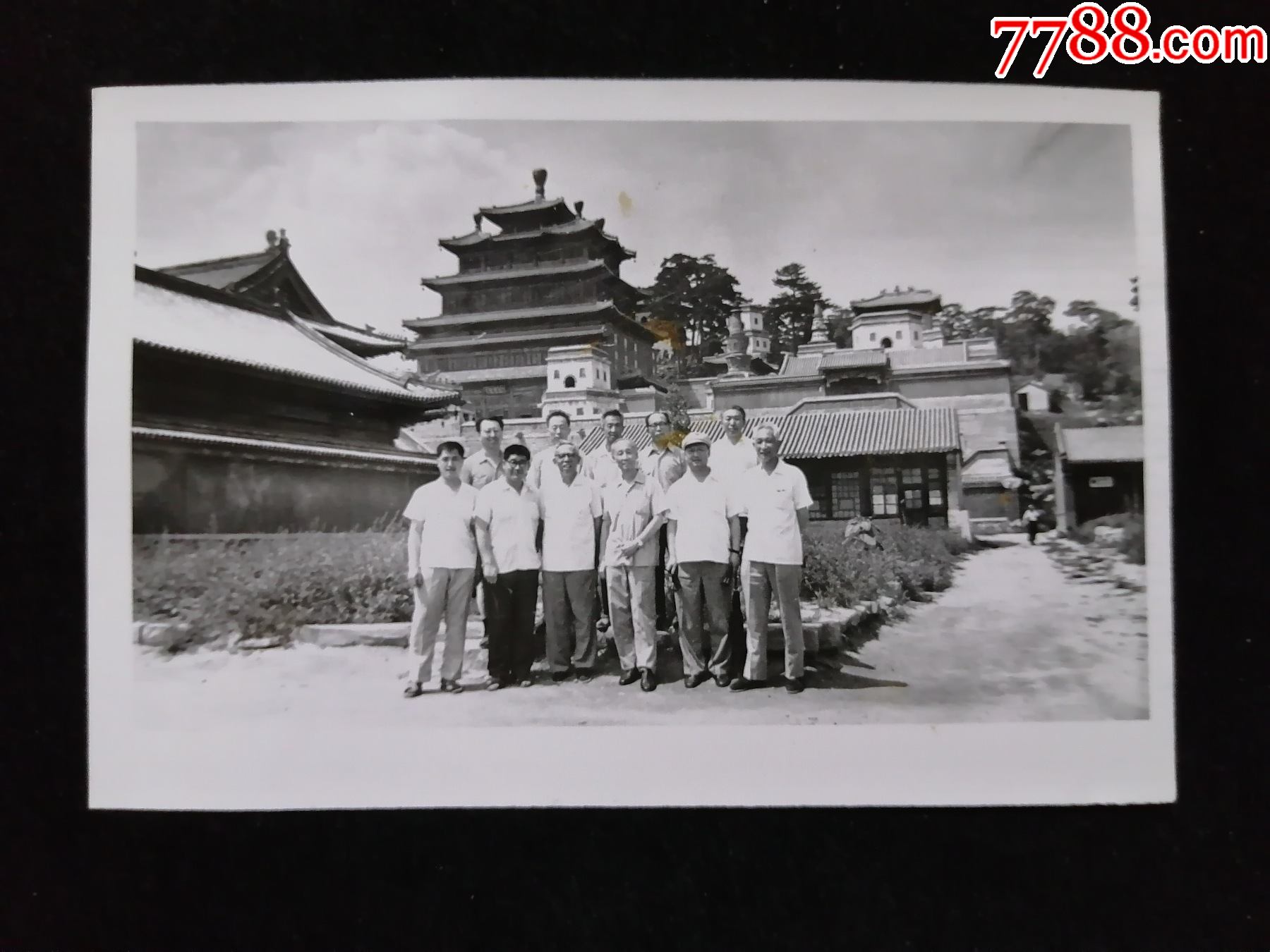 5厘米￥259品991950年四月,建国初期,杨家衡张宅￥10