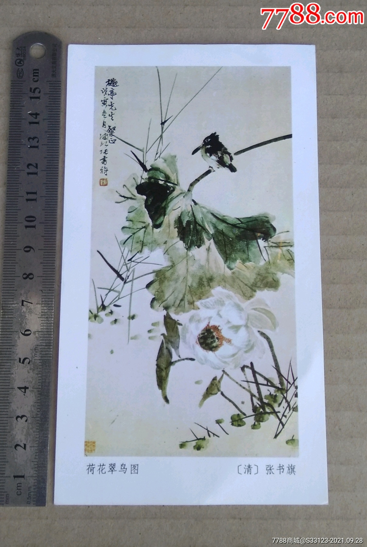 1984年清张书旗荷花翠鸟图