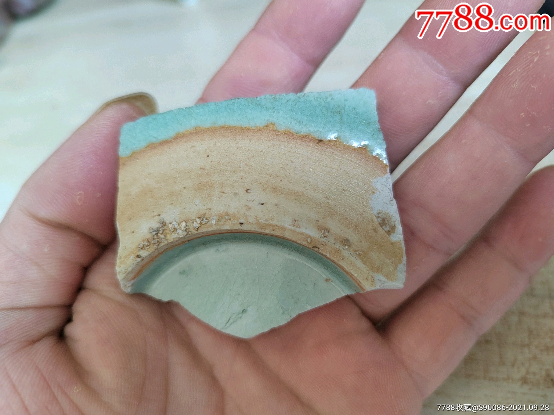 瓷片标本满百包邮低出一片康熙名品郎窑绿瓷片标本