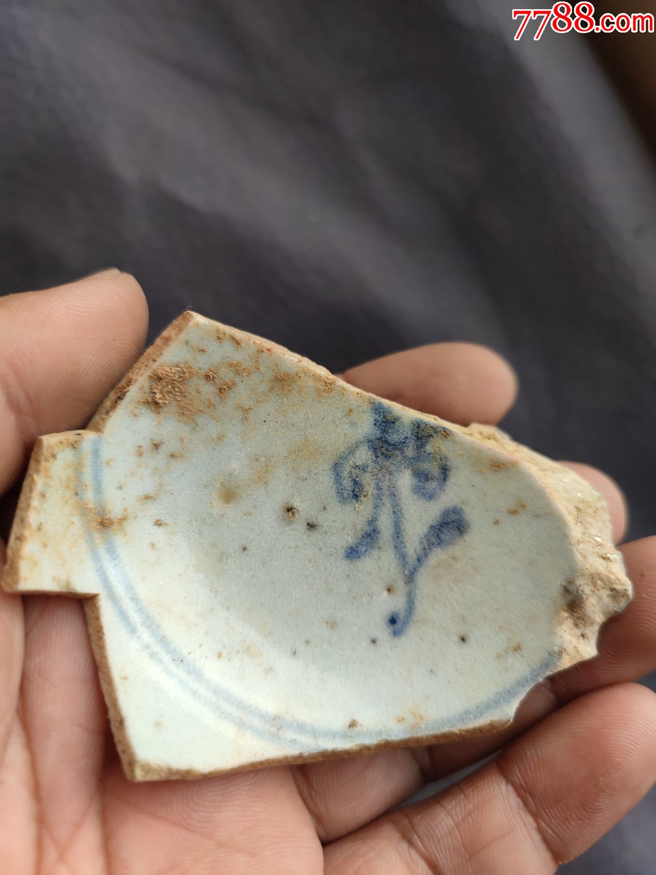 青花瓷片,品相如图所示-价格:100元-se82873472-青花瓷-零售-7788收藏