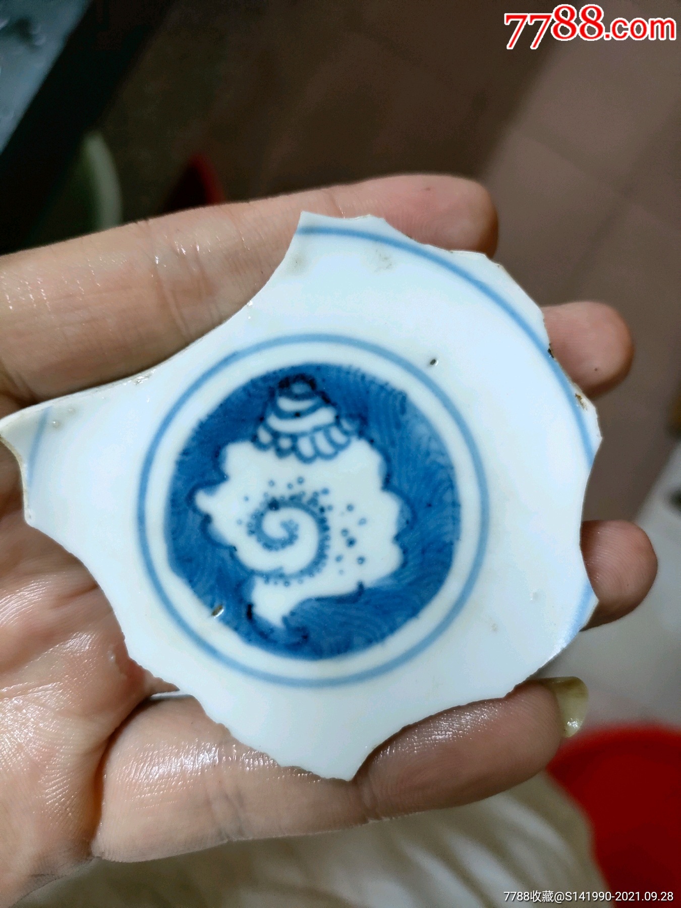 明代海螺青花瓷片