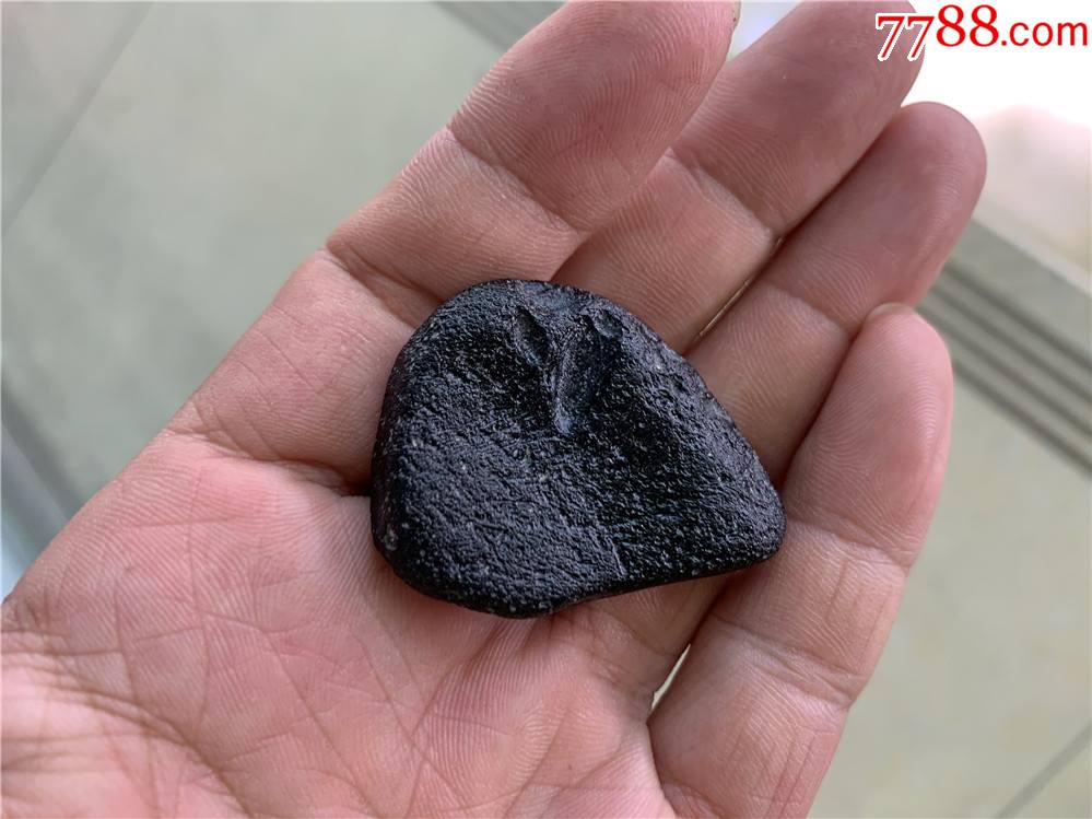 柳州陨石收藏团体图片