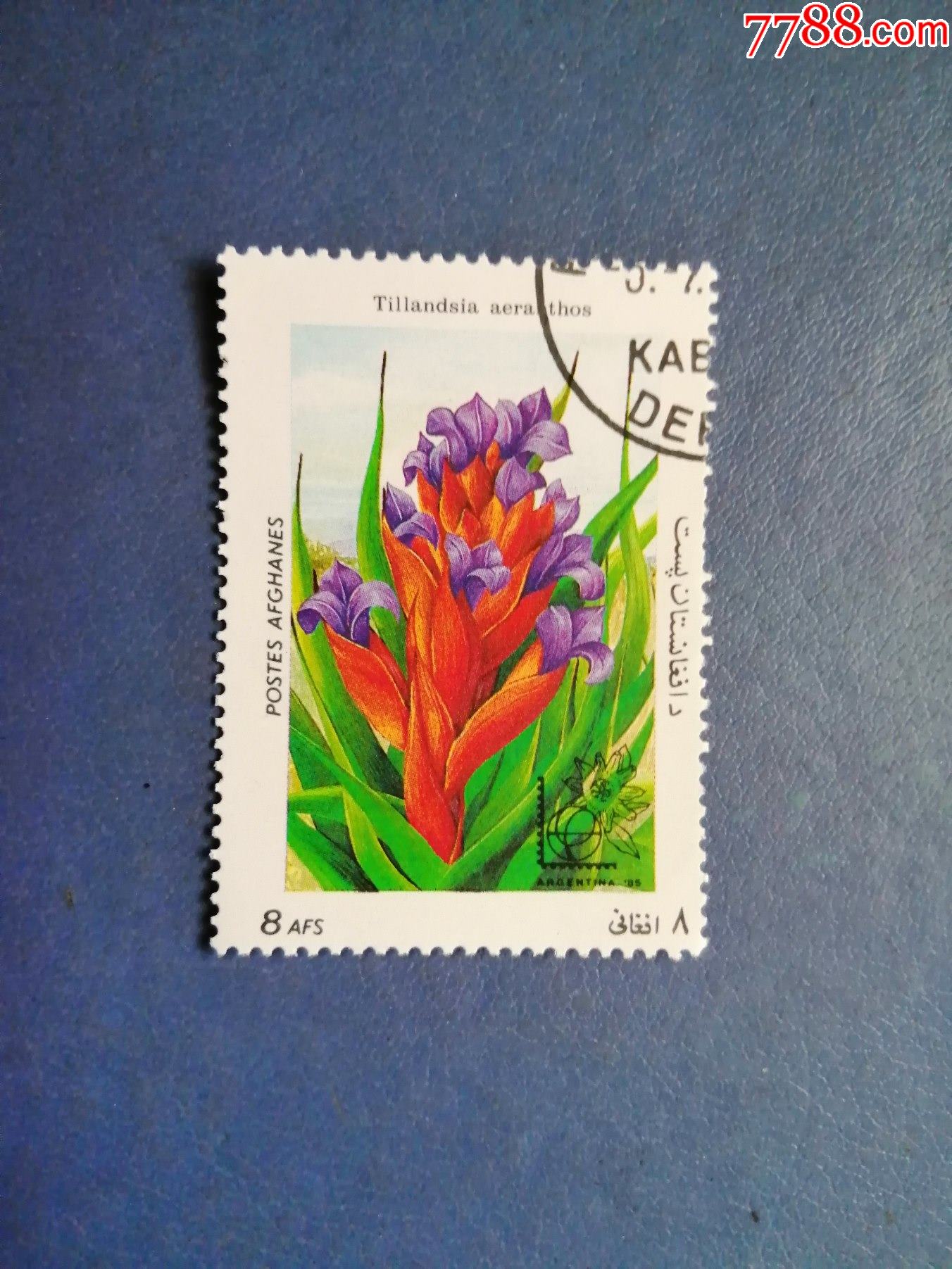 阿富汗邮票1985年花卉(盖销票)