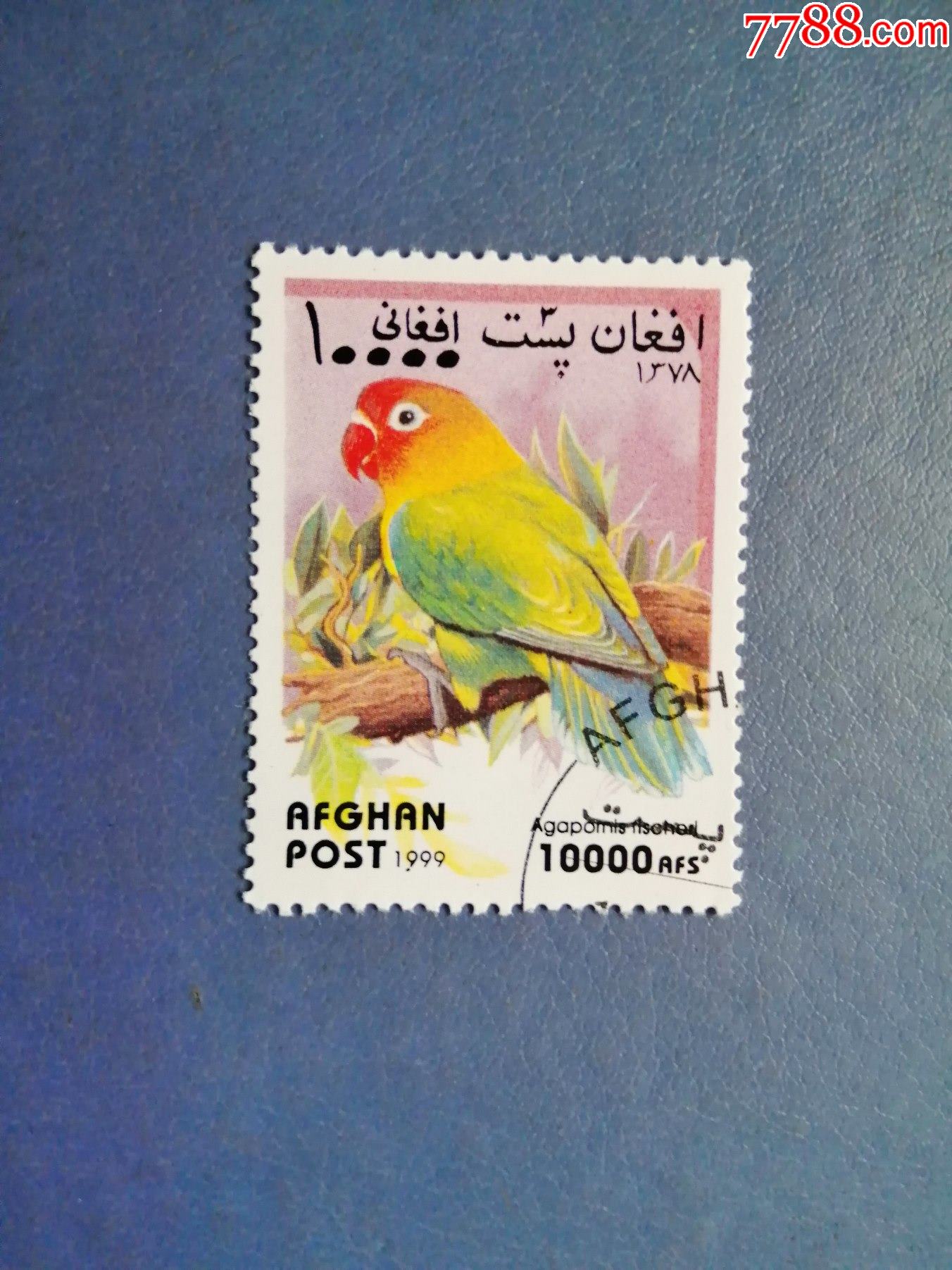 阿富汗邮票1999年鹦鹉(盖销票)