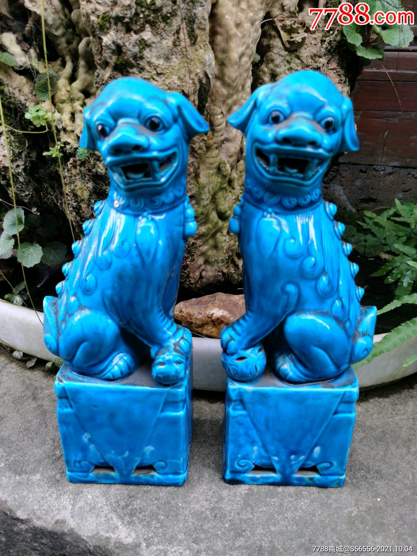 解放后蓝釉狮子一对_蓝釉瓷_武义收藏【7788收藏__收藏热线】