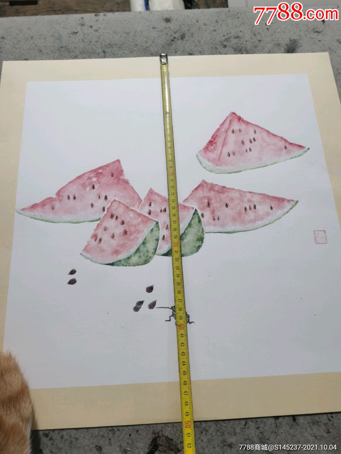 没骨西瓜一幅