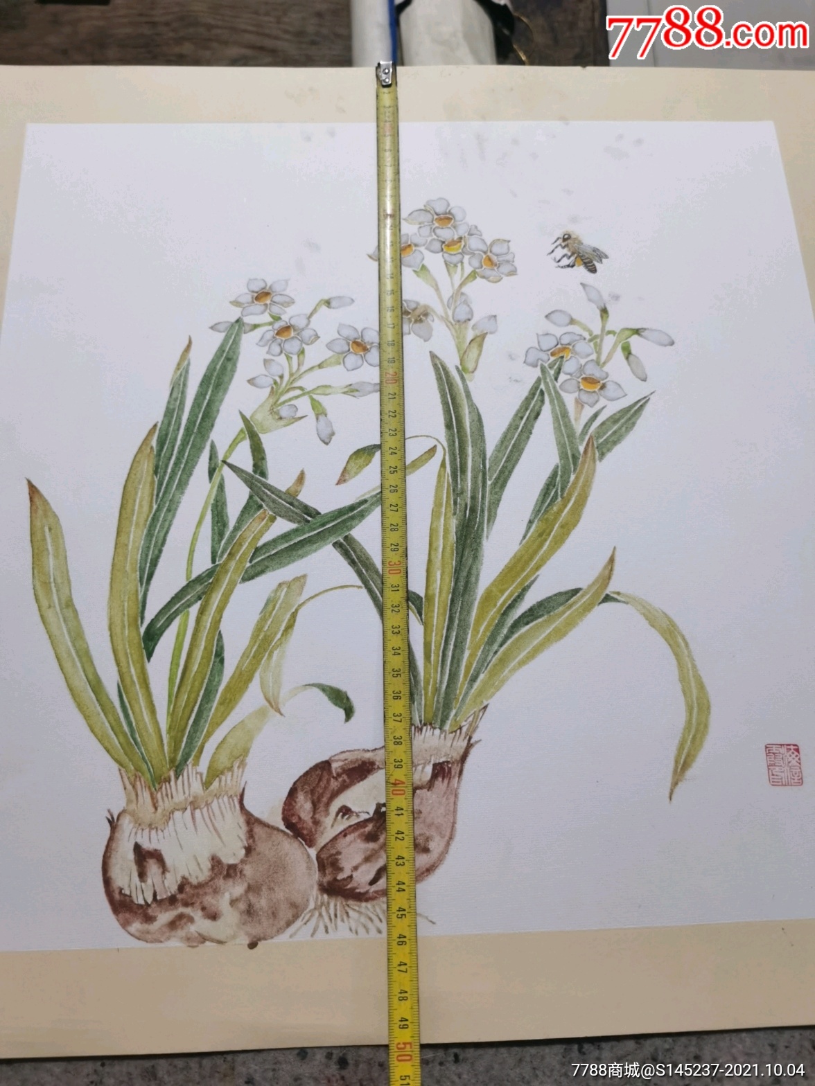 没骨水仙一幅_第1张_7788书画网