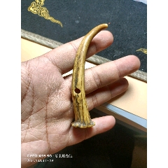 清代民国时期鹿角麂子角解绳器骨觽
