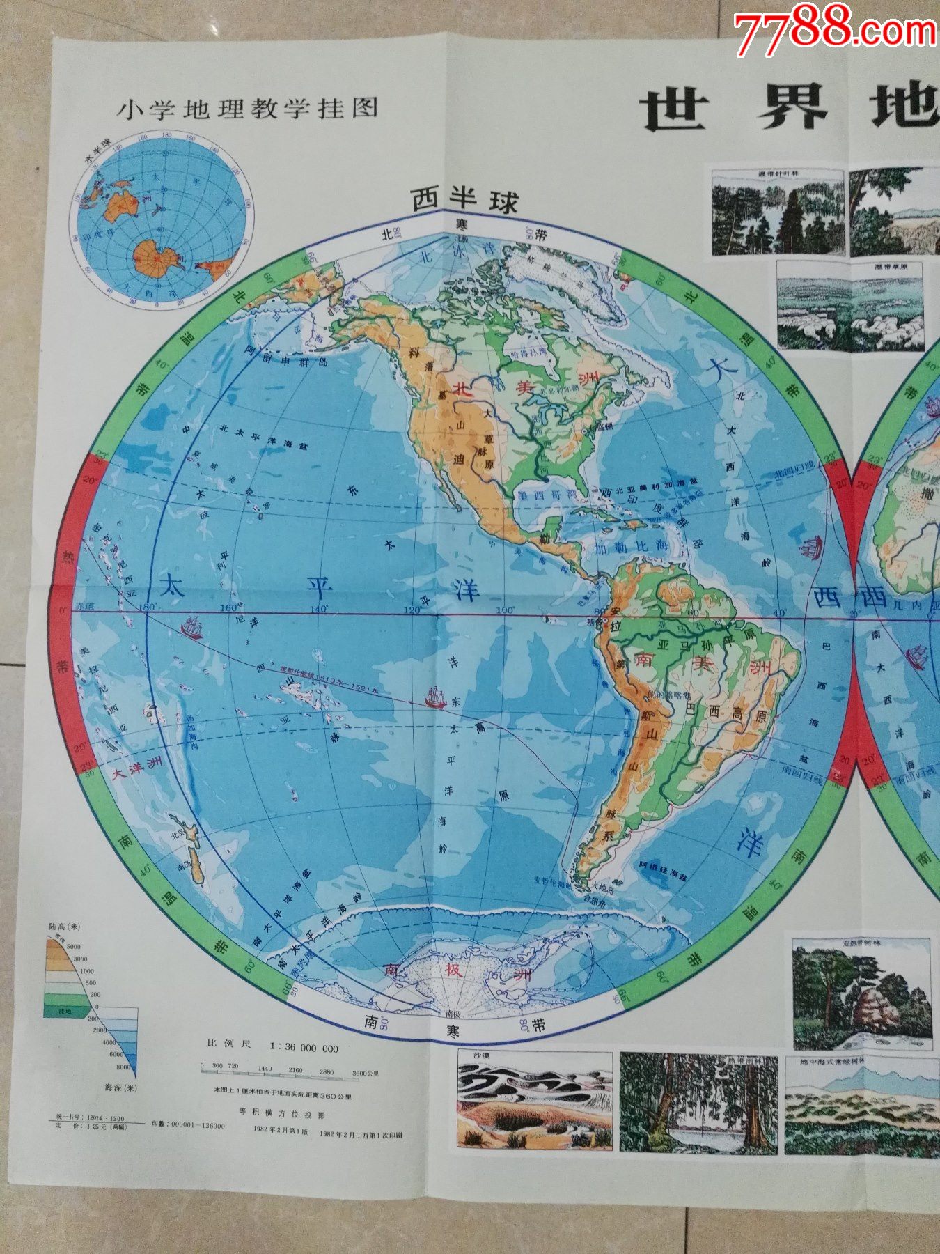 小学地理教学挂图-世界地形
