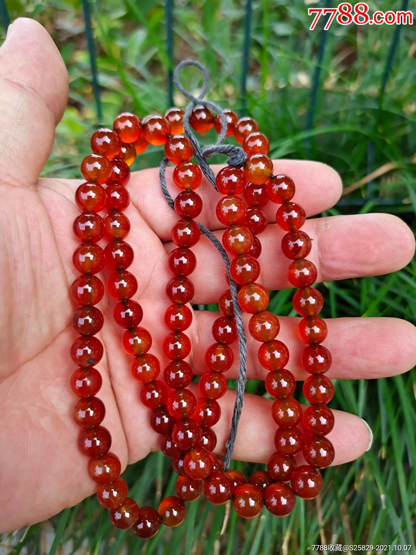 se83018747  店内编号:855 品种: 玛瑙-玛瑙 属性: 清朝,红色