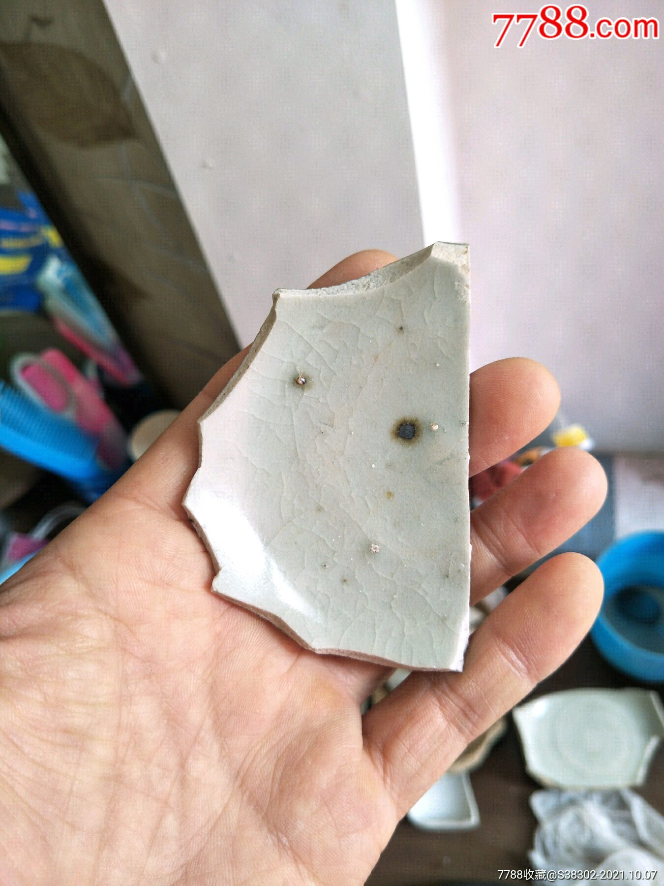 明代永乐翠青釉瓷片残片临清运河古玩店万枚古陶瓷标本馆