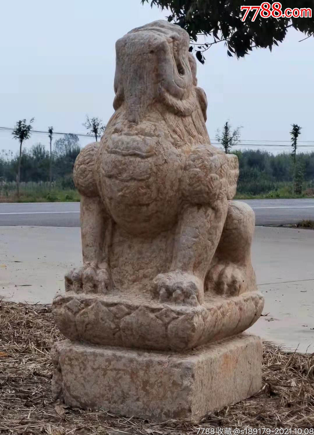 老青石望天吼56_价格5500元【南依琳古玩小店】_第1张_7788收藏__收藏