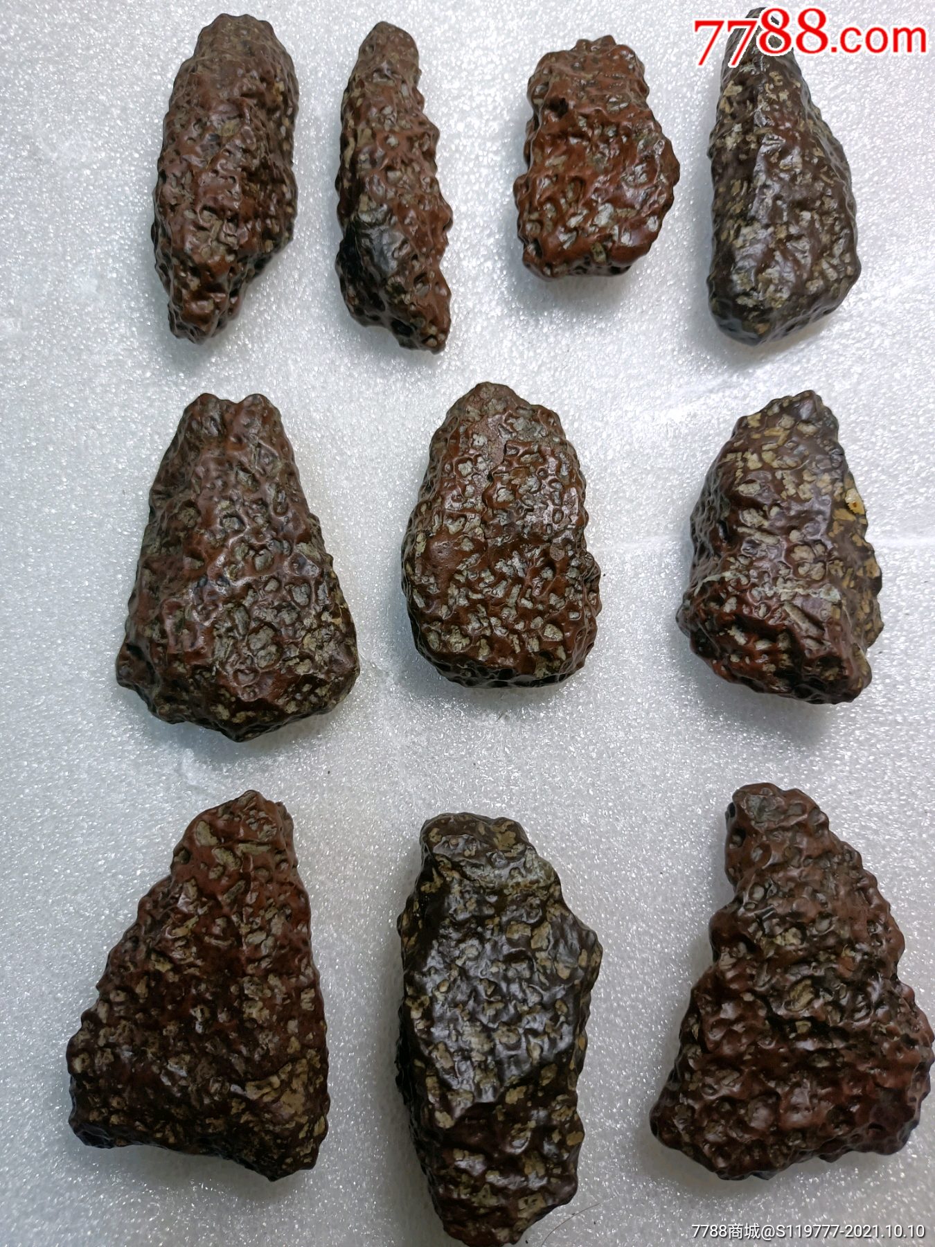 一组干沟橄榄陨石