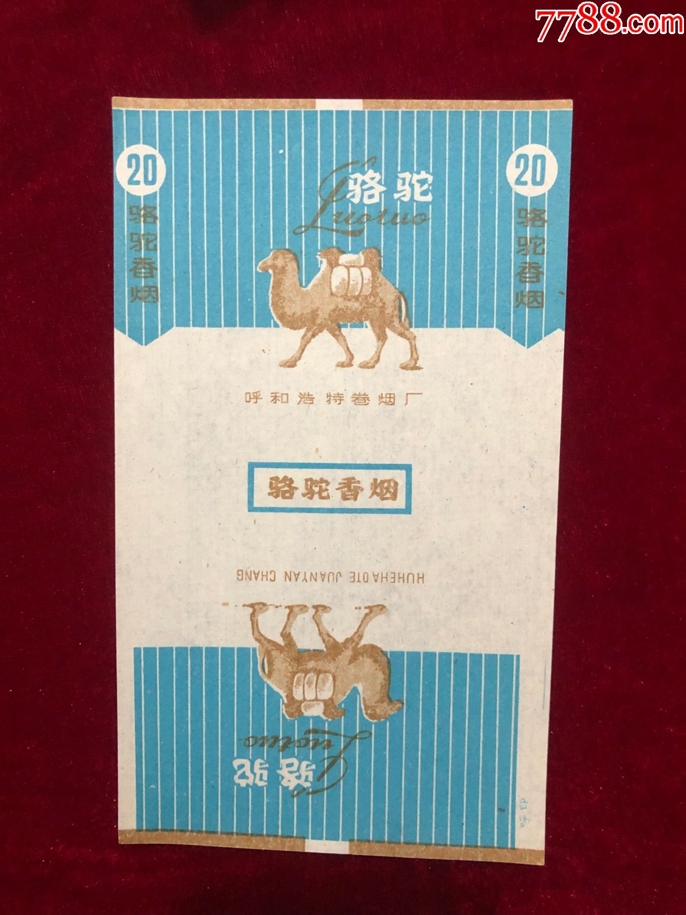 骆驼