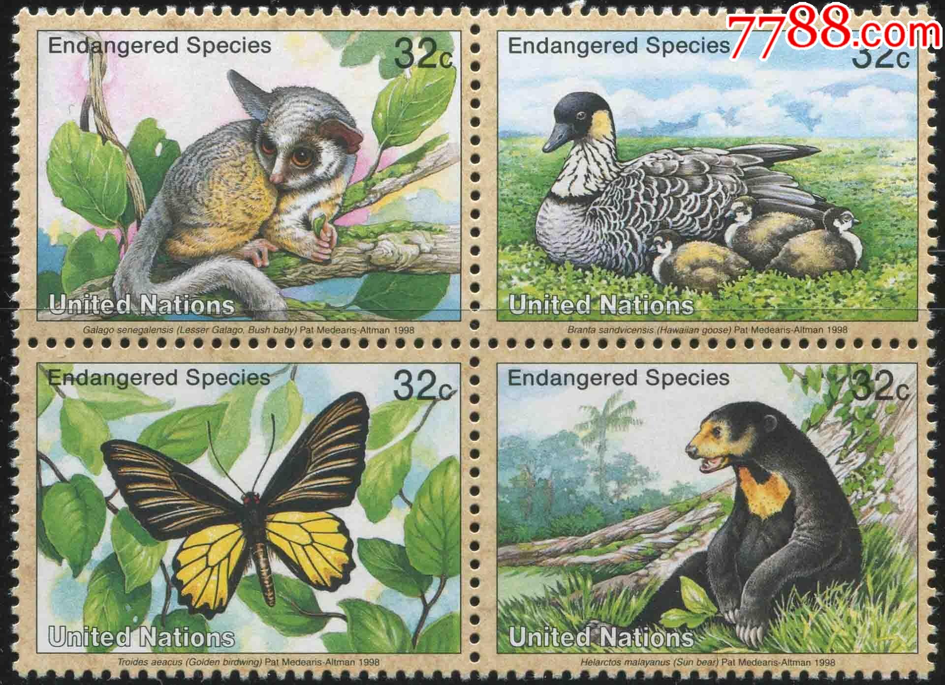 联合国邮票纽约1998年濒危动物蝴蝶麻鸭黑熊等4全新un02