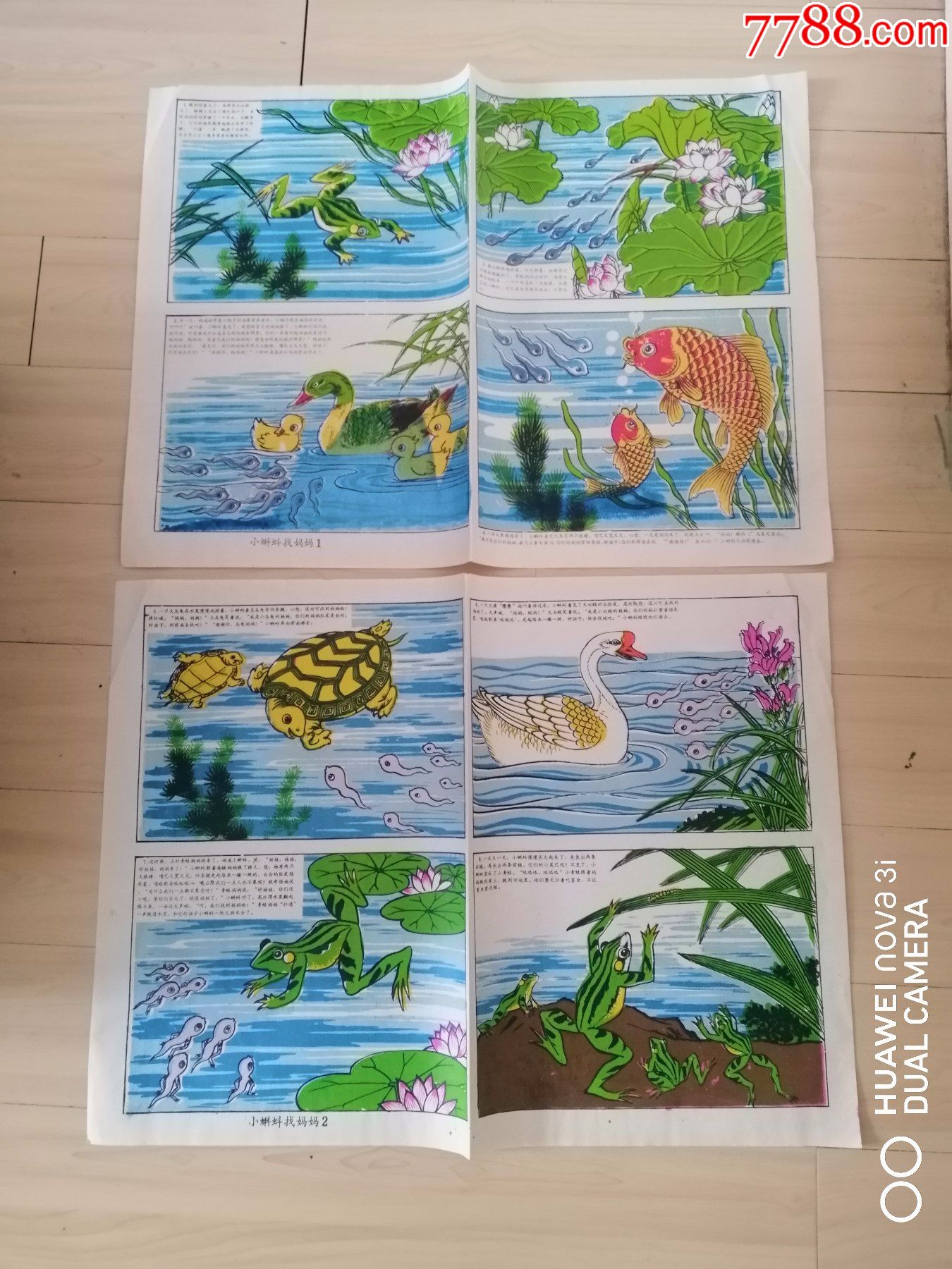 2)_教学挂图_图片鉴赏_收藏价格_7788铜器收藏