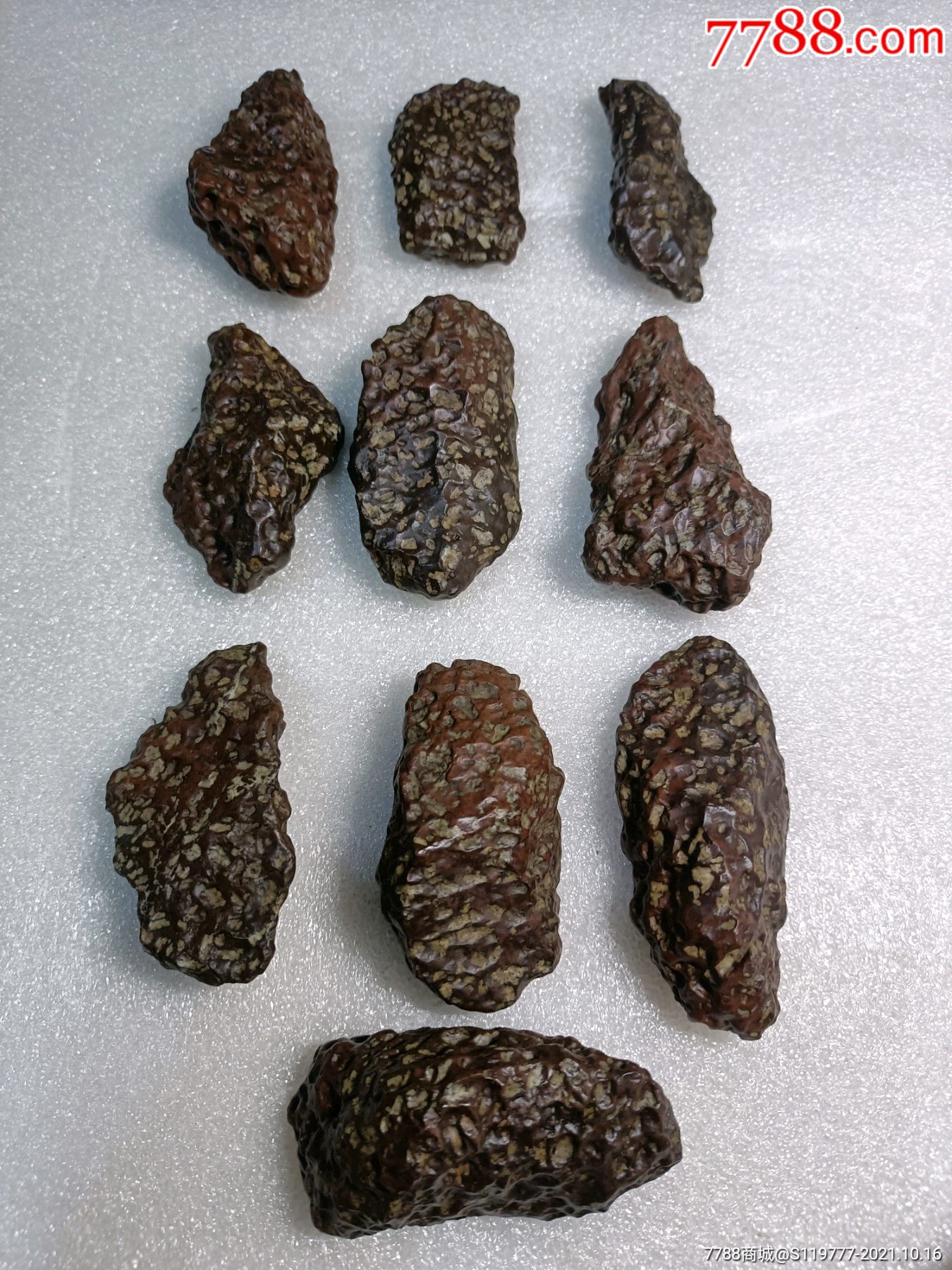 一组干沟橄榄陨石